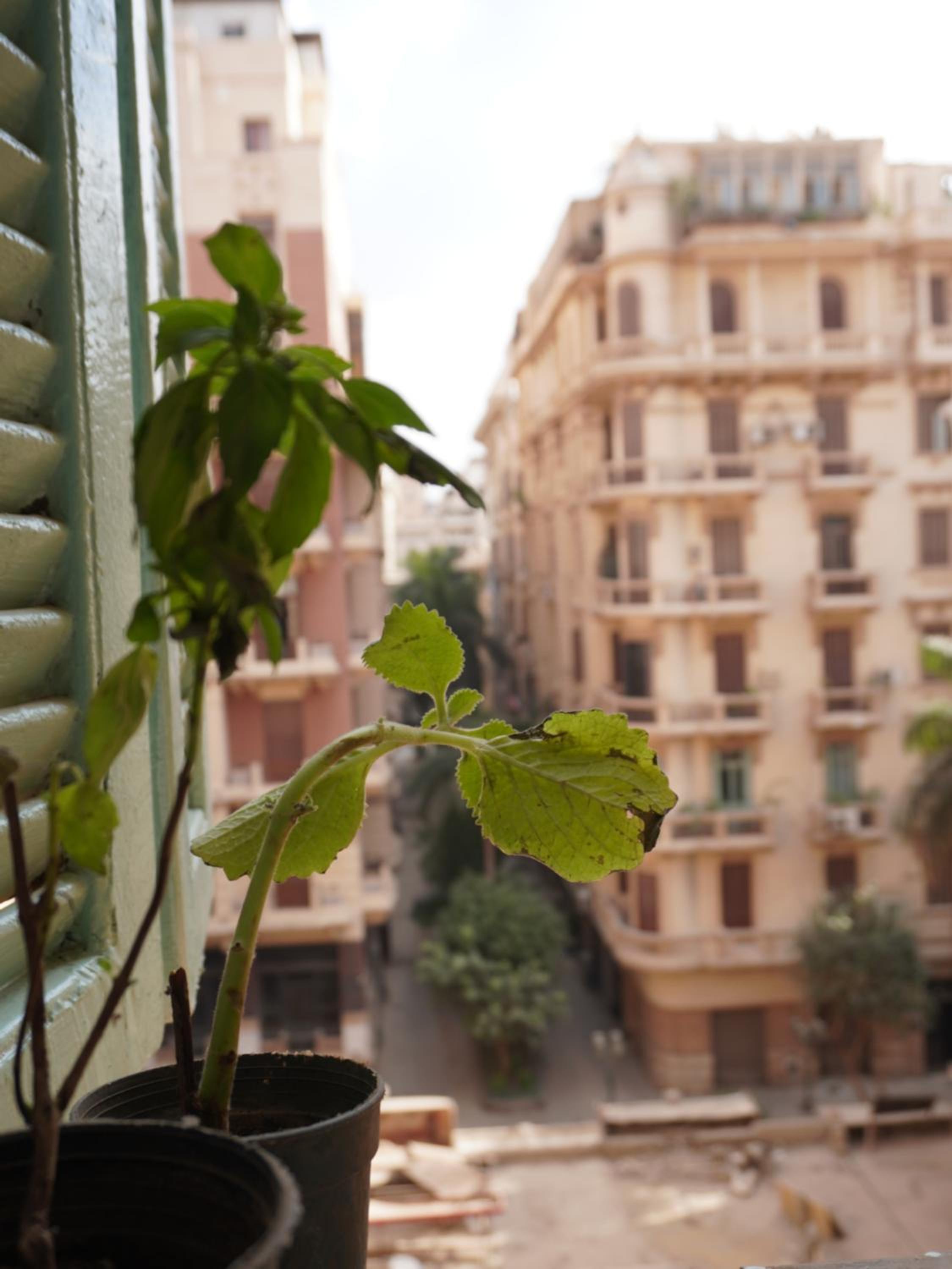 Rhala Hostel Egypt