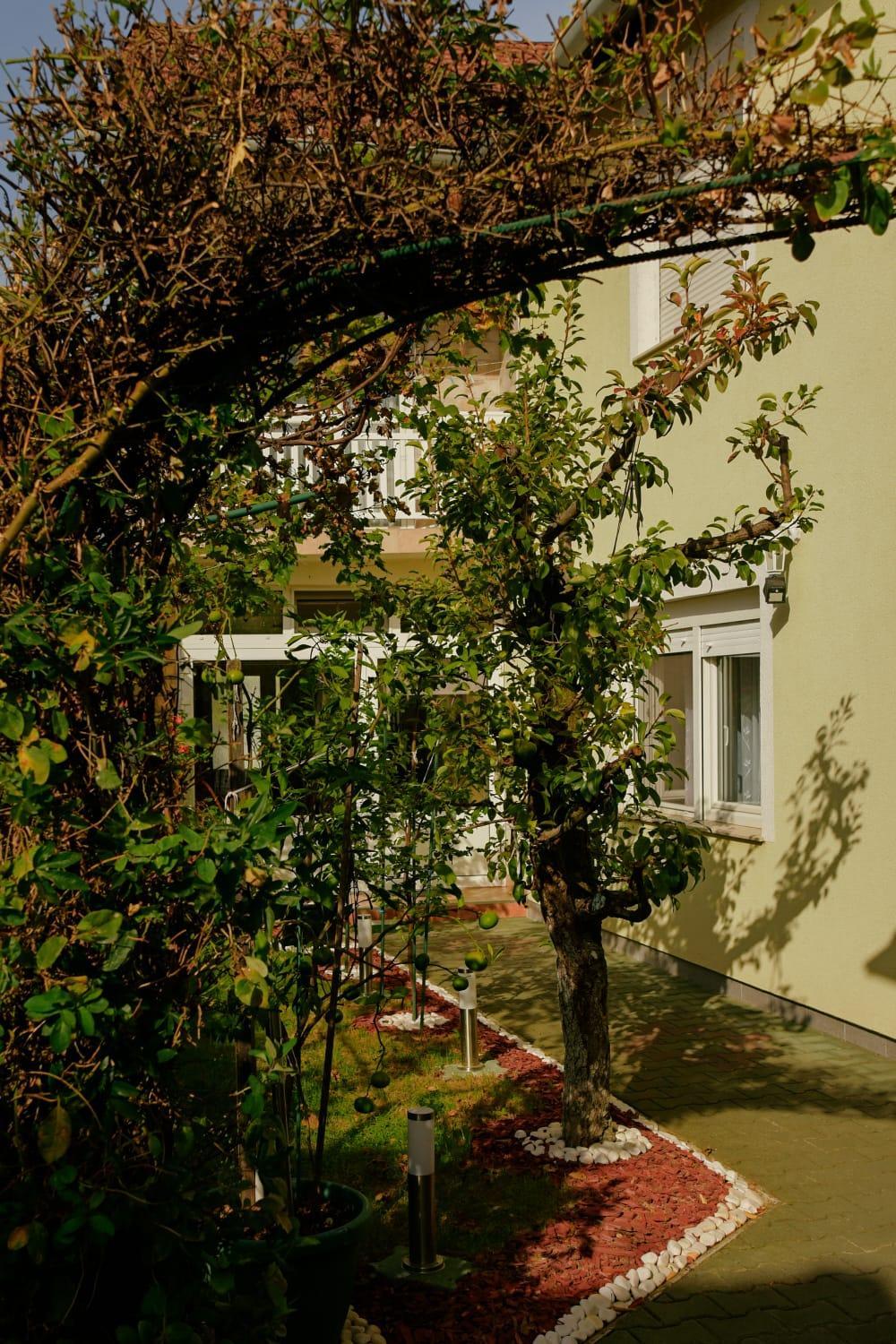 Soba Luić
