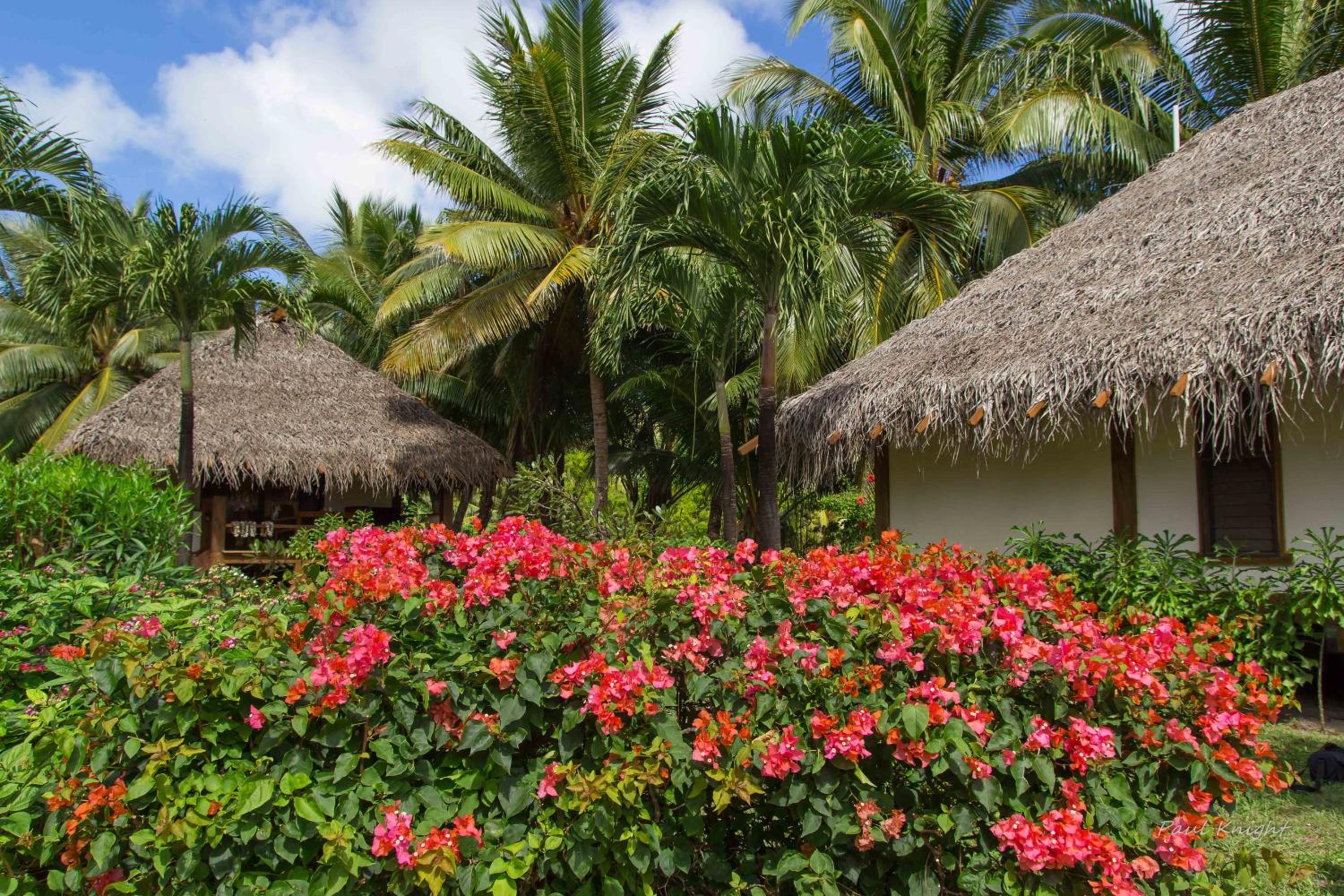 Etu Moana Boutique Beach Villas - Adults Only