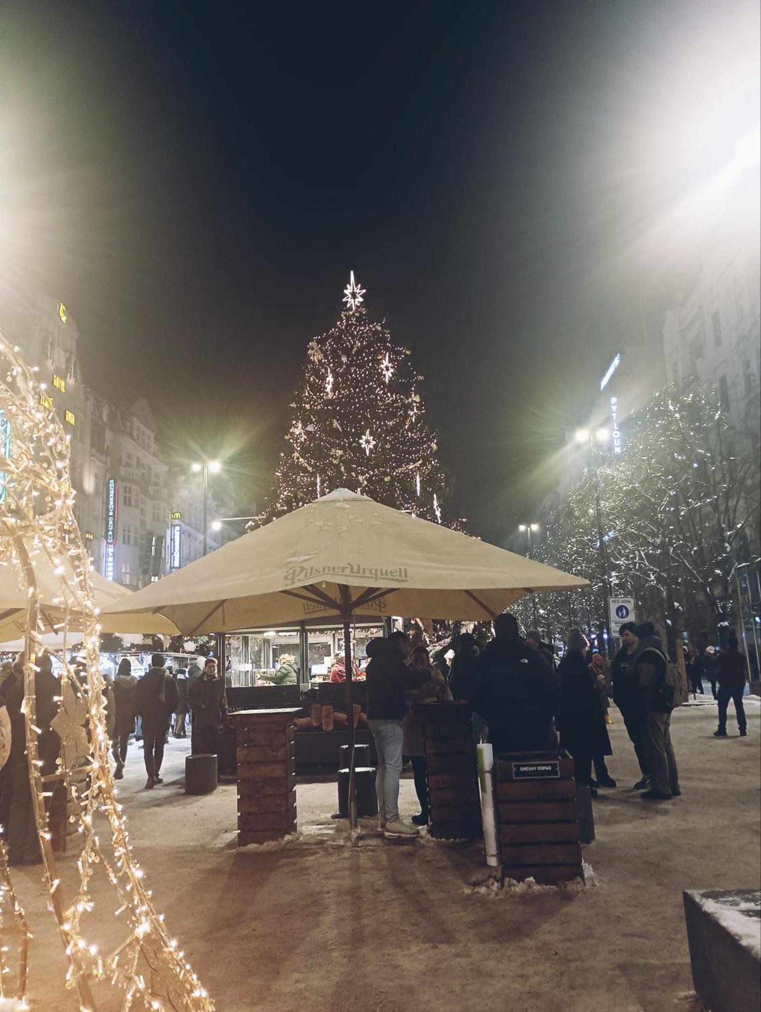 Apartment Prague city center - next to Florenc