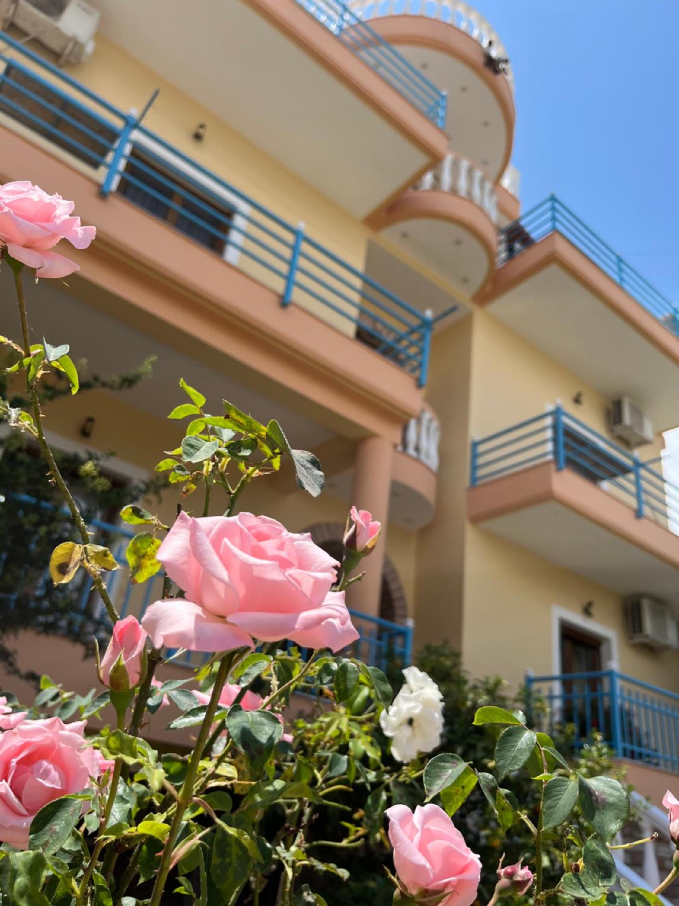 Laura Guest House