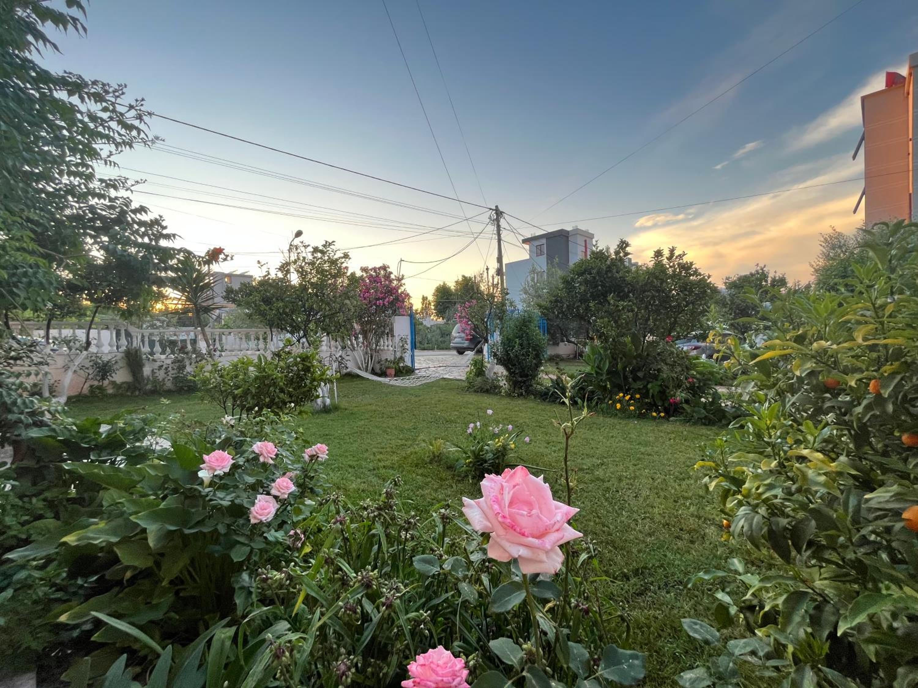 Laura Guest House