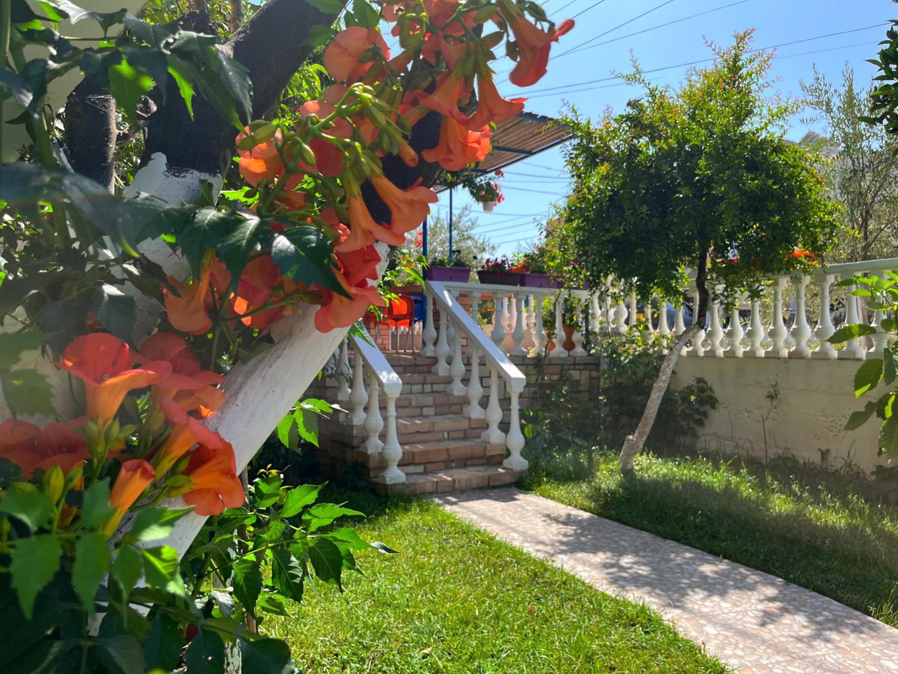 Laura Guest House