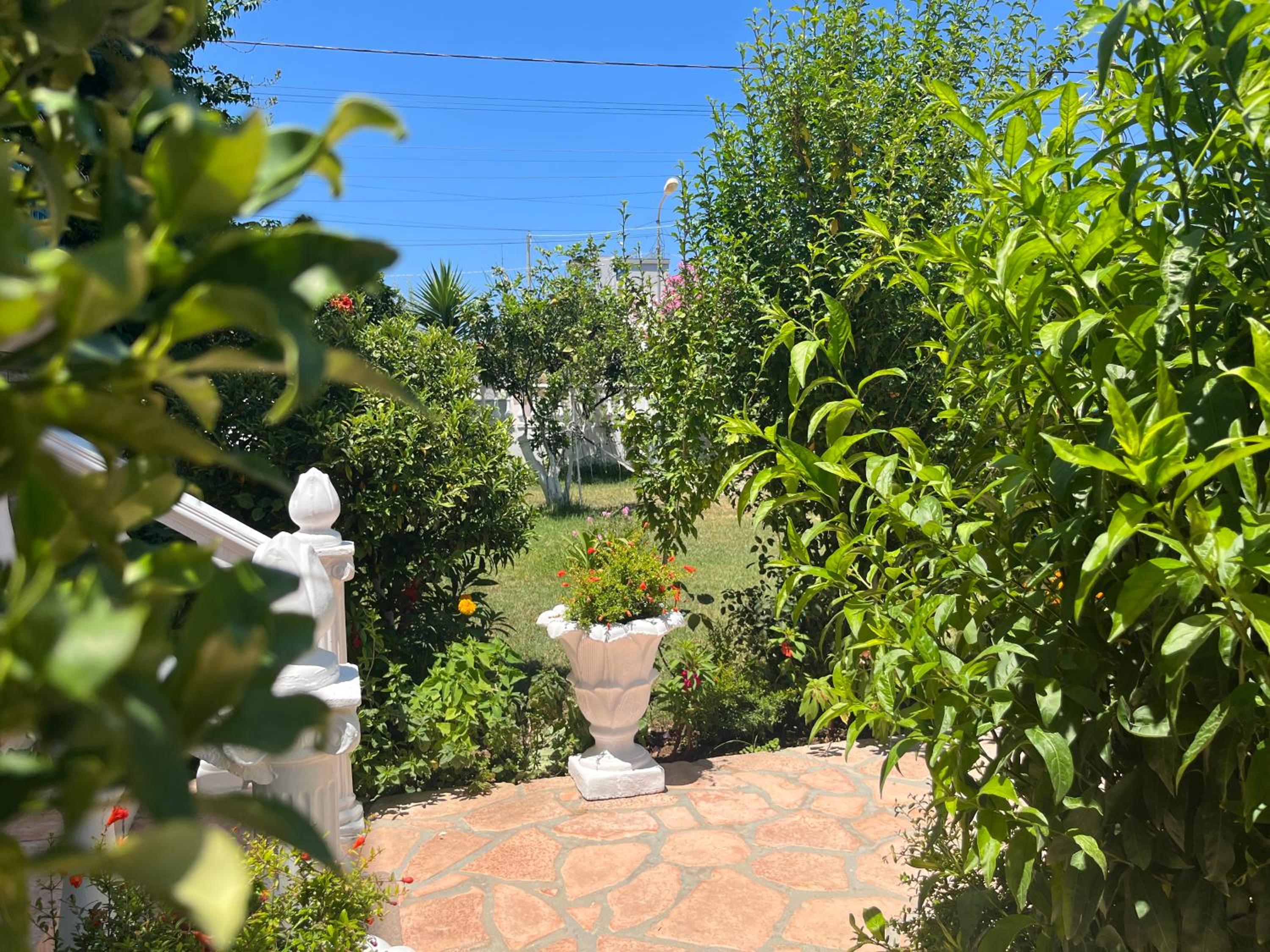 Laura Guest House