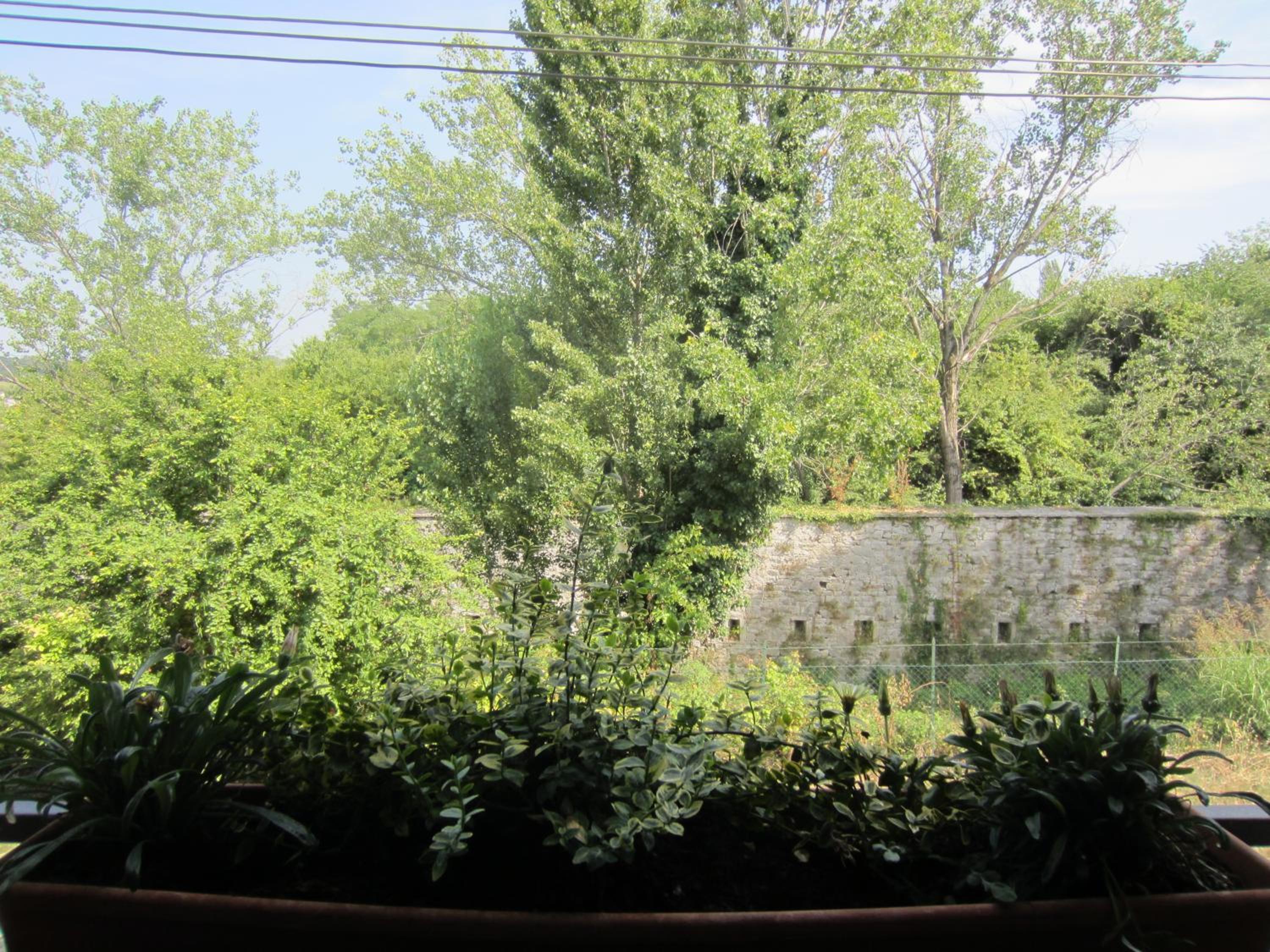 Photo 31
