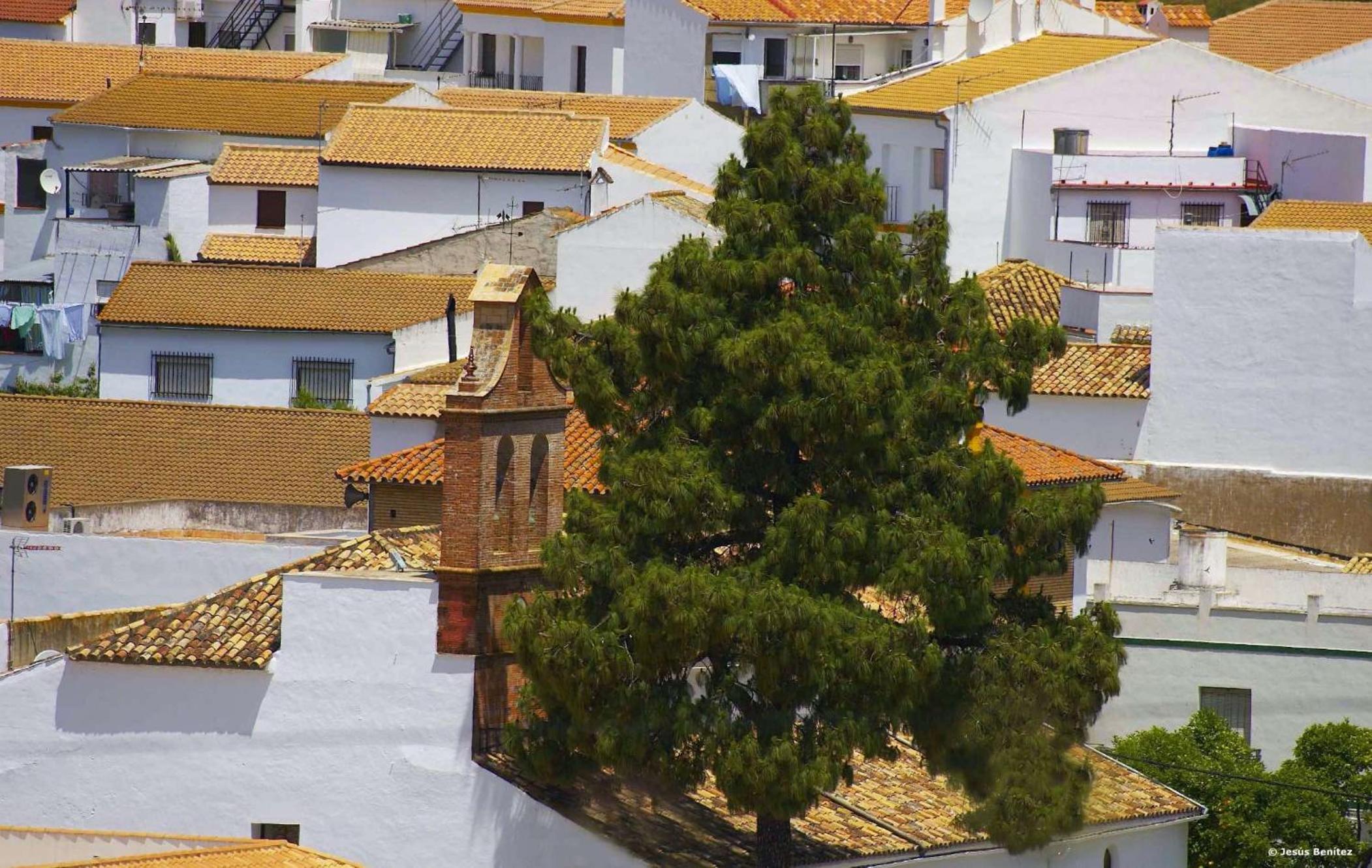 Casa Rural Rafael Alberti