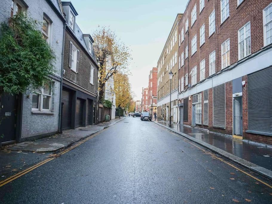 Tranquil Urban Oasis in Kensington