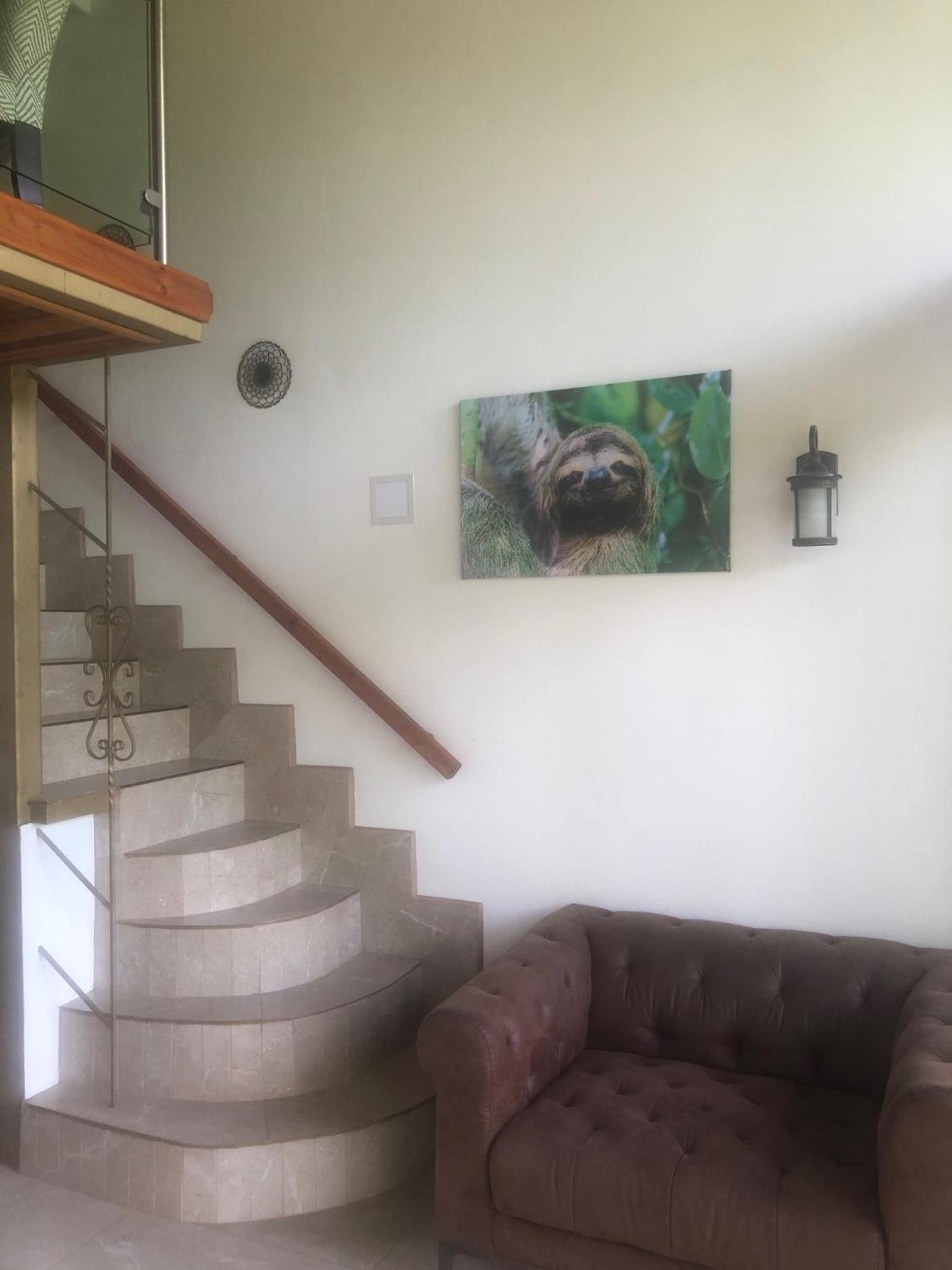 Sloth Premium Riverfront Jungle Villa with Jacuzzi and Pool