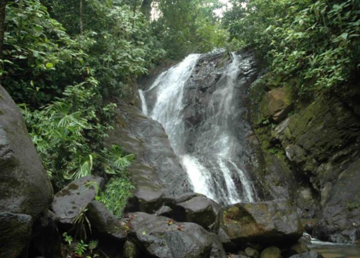 Sloth Premium Riverfront Jungle Villa with Jacuzzi and Pool