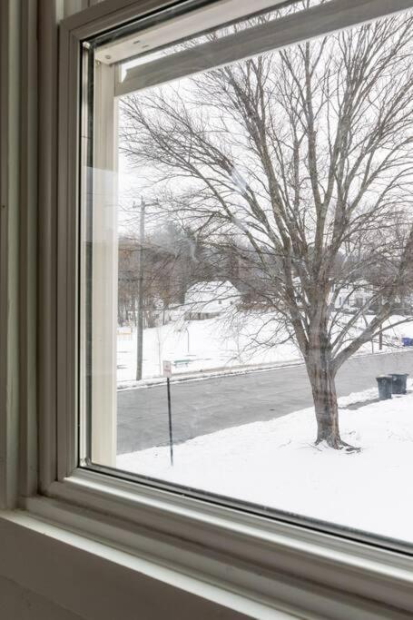 Cozy Modern Farmhouse 2 Bedroom Apartment view 4