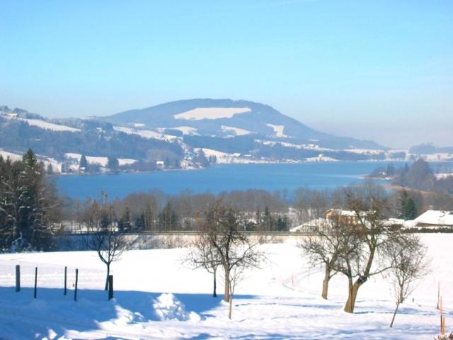 Pension Winter