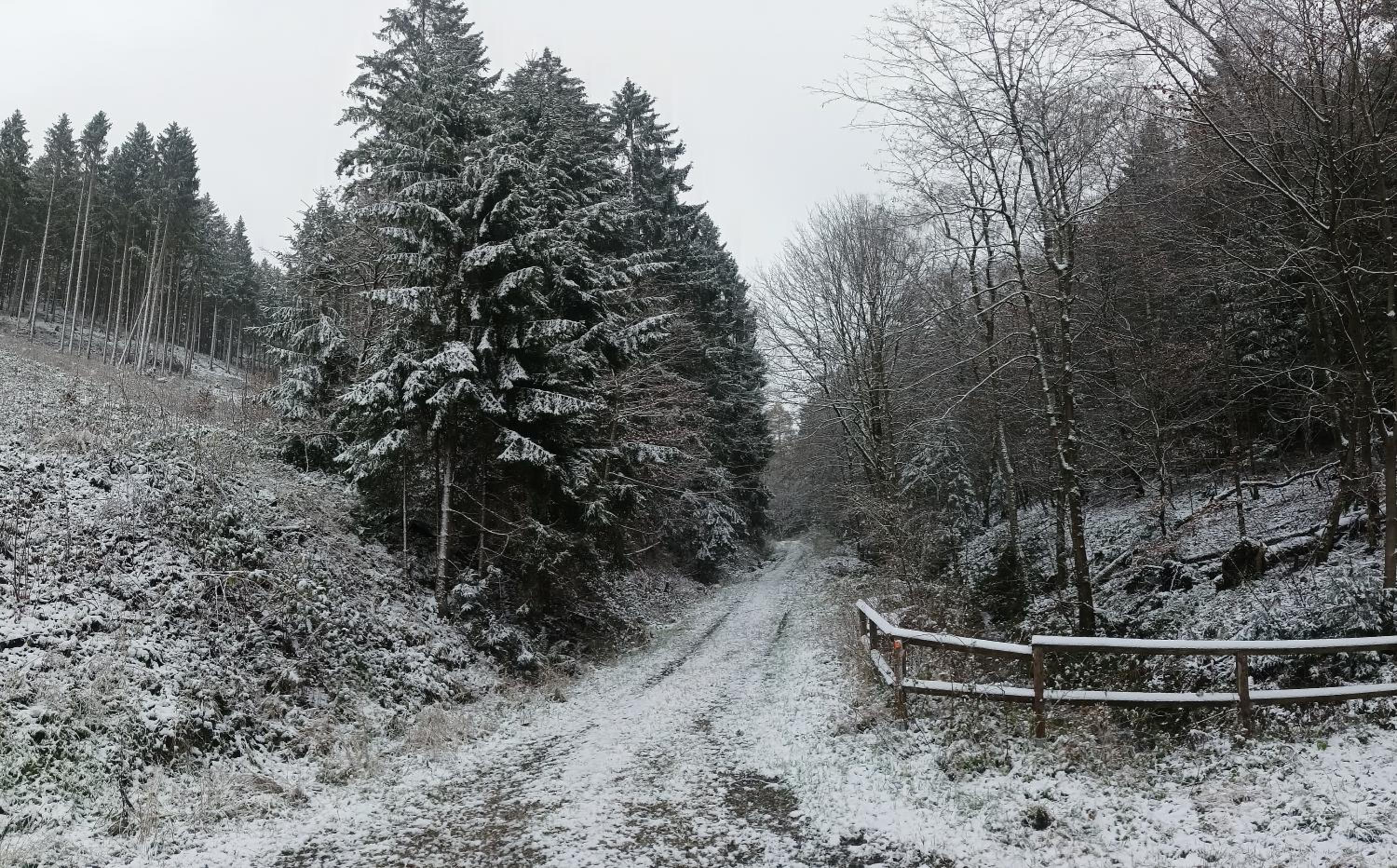 other