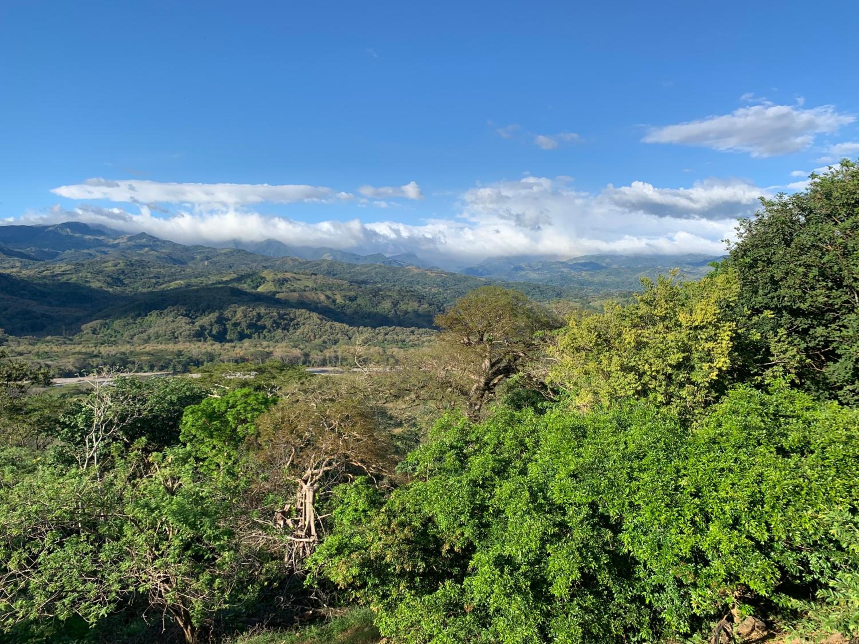 Conectar con la naturaleza