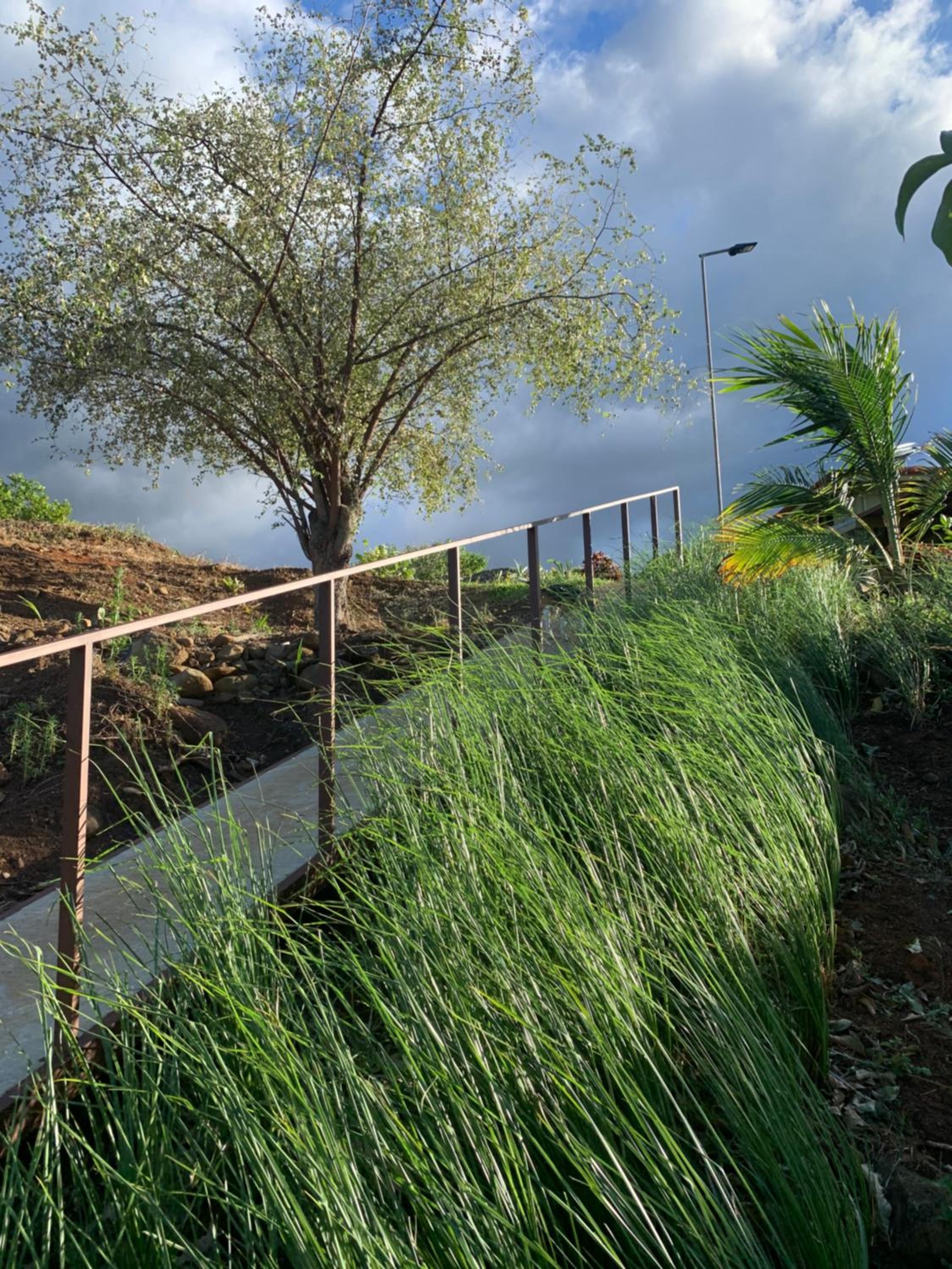 Conectar con la naturaleza