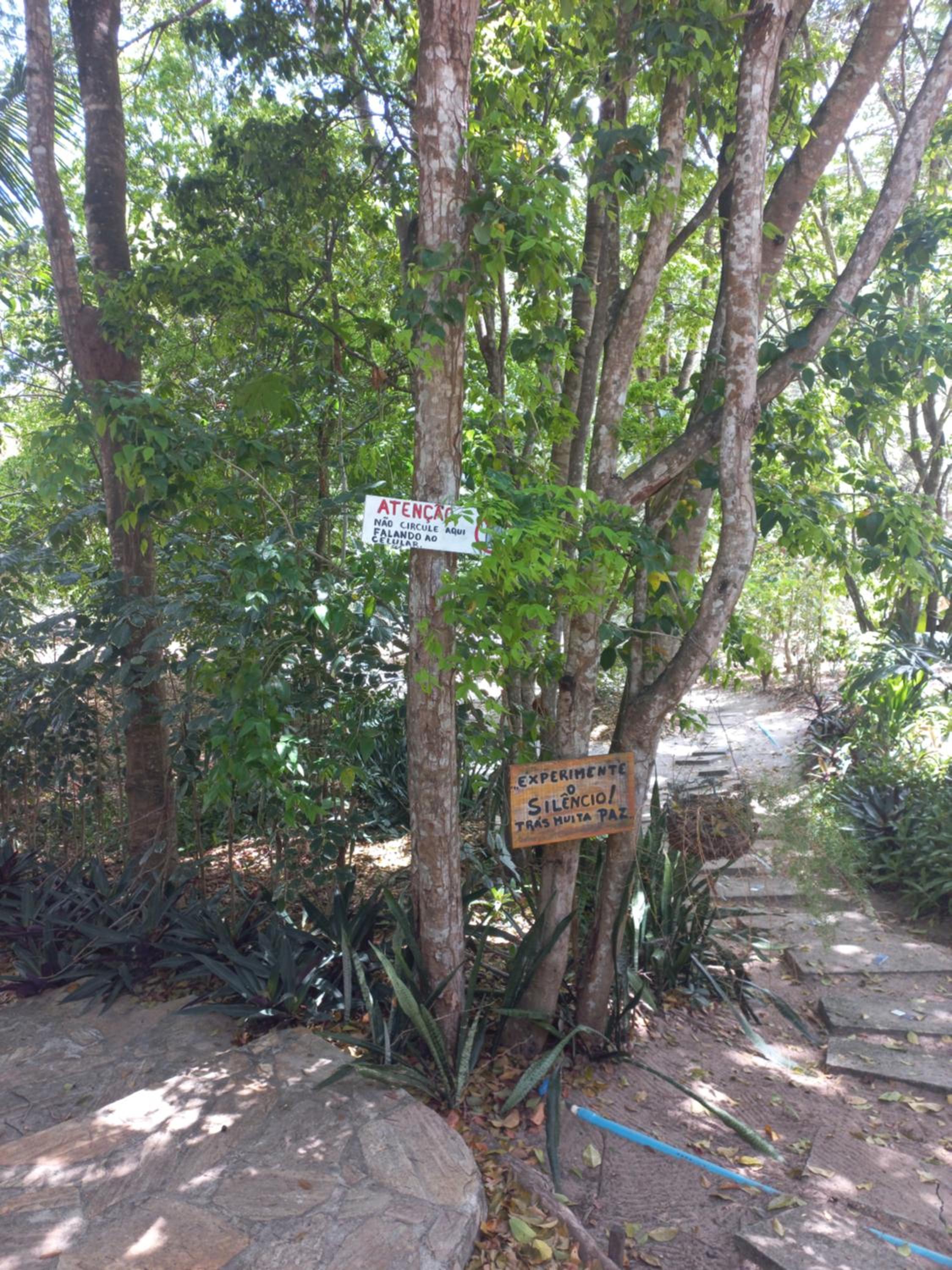 Apartamento PIPA - UF01