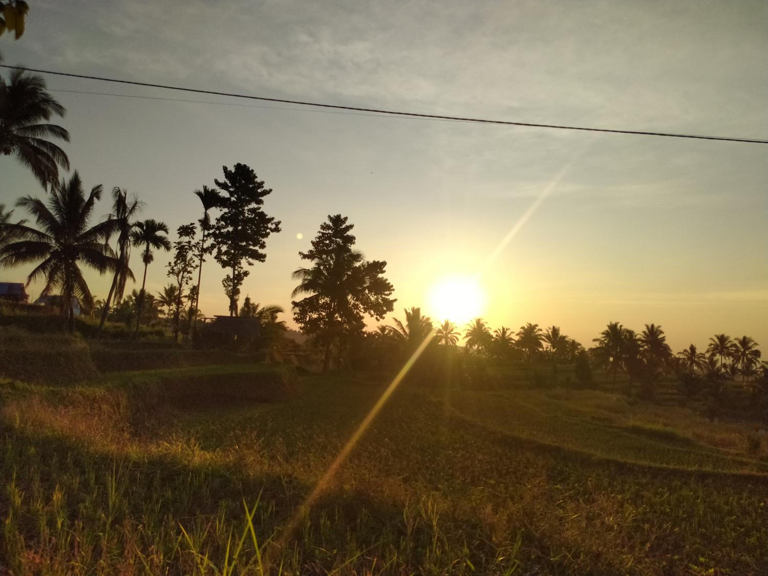 Taman Homestay