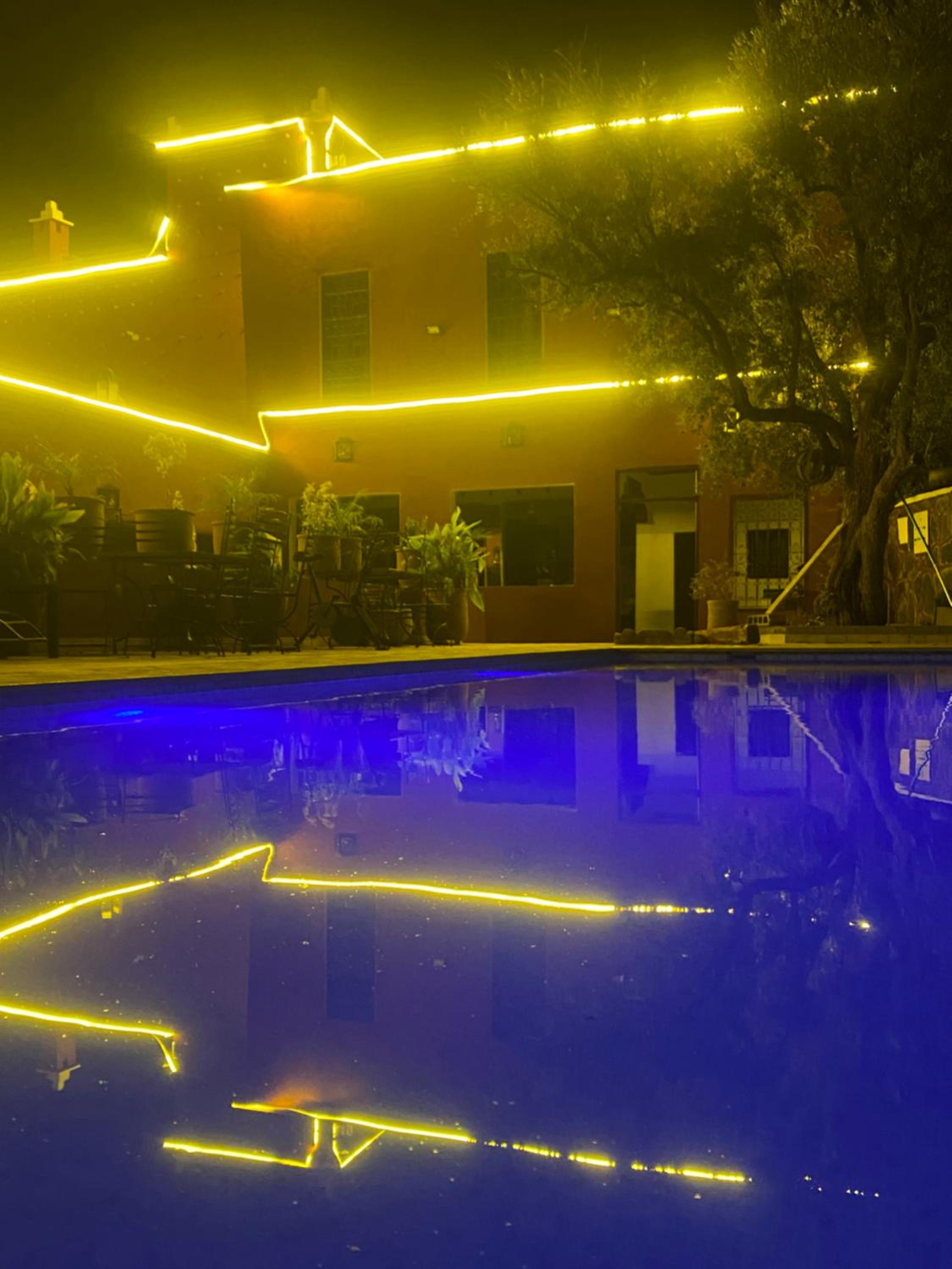 Riad Malak