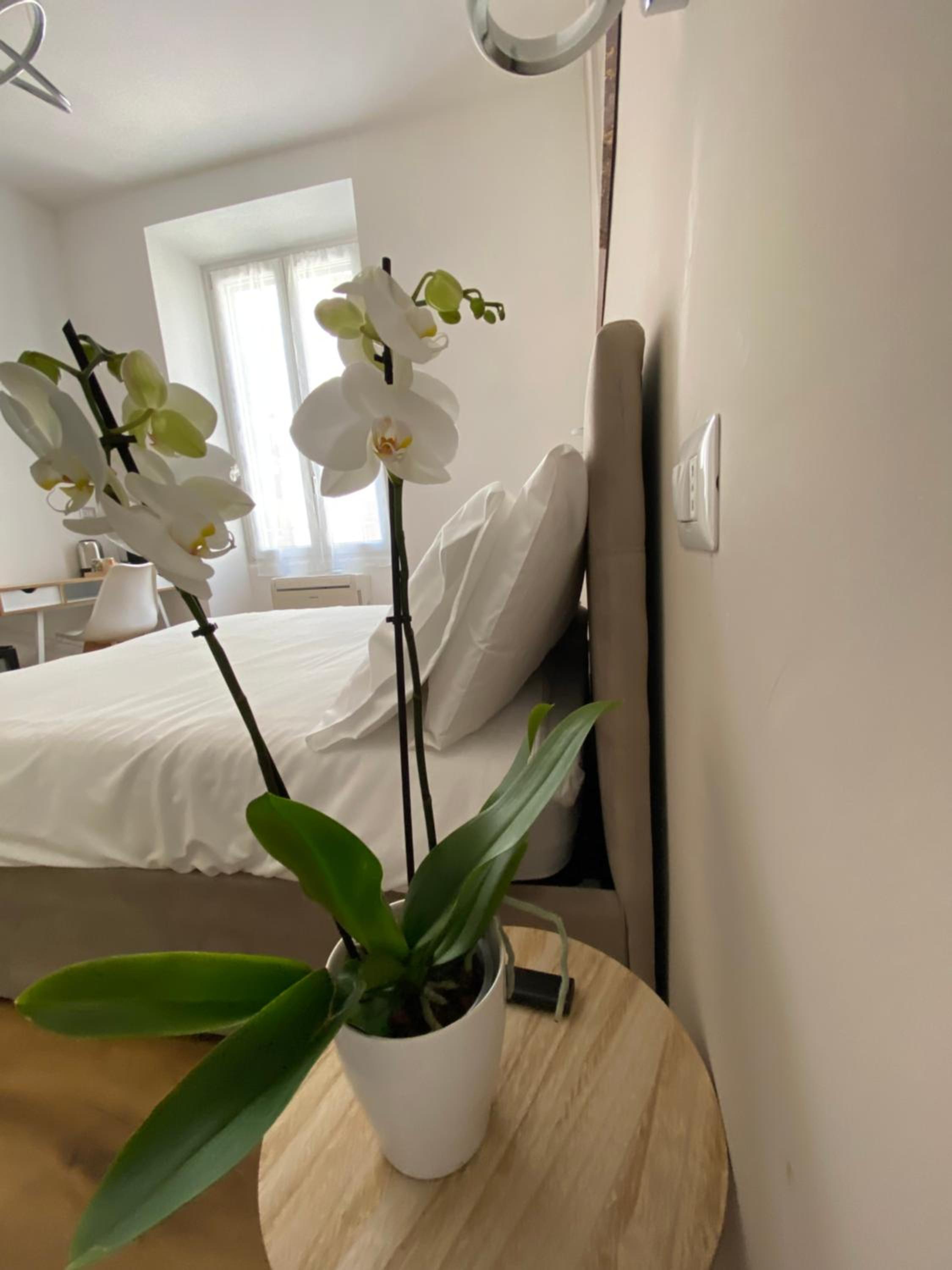Belltower Elegans Guest House