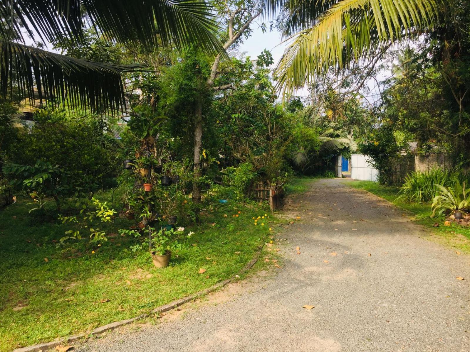 Sasiru Holiday Home view 2
