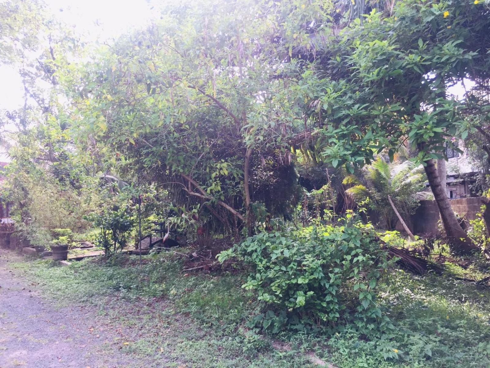 Sasiru Holiday Home view 3