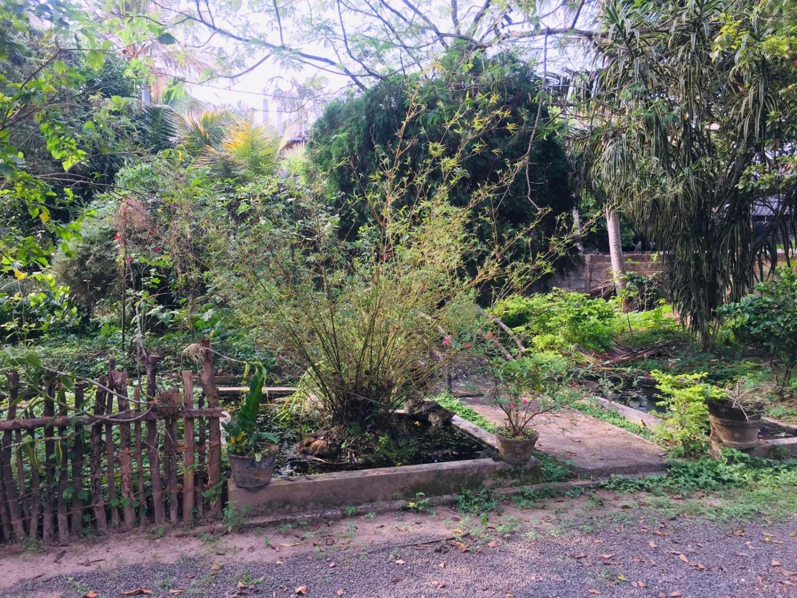 Sasiru Holiday Home view 4