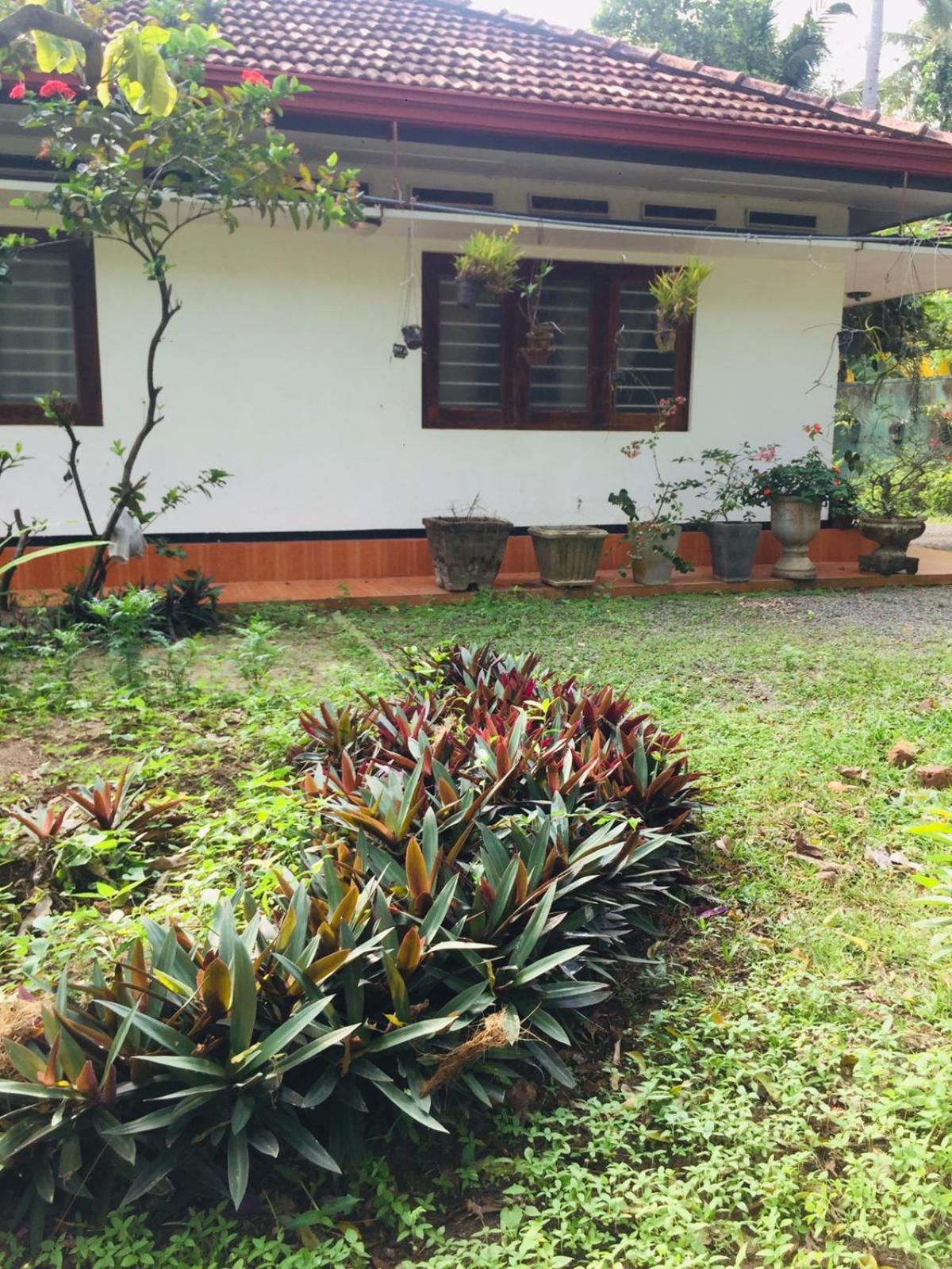 Sasiru Holiday Home view 5