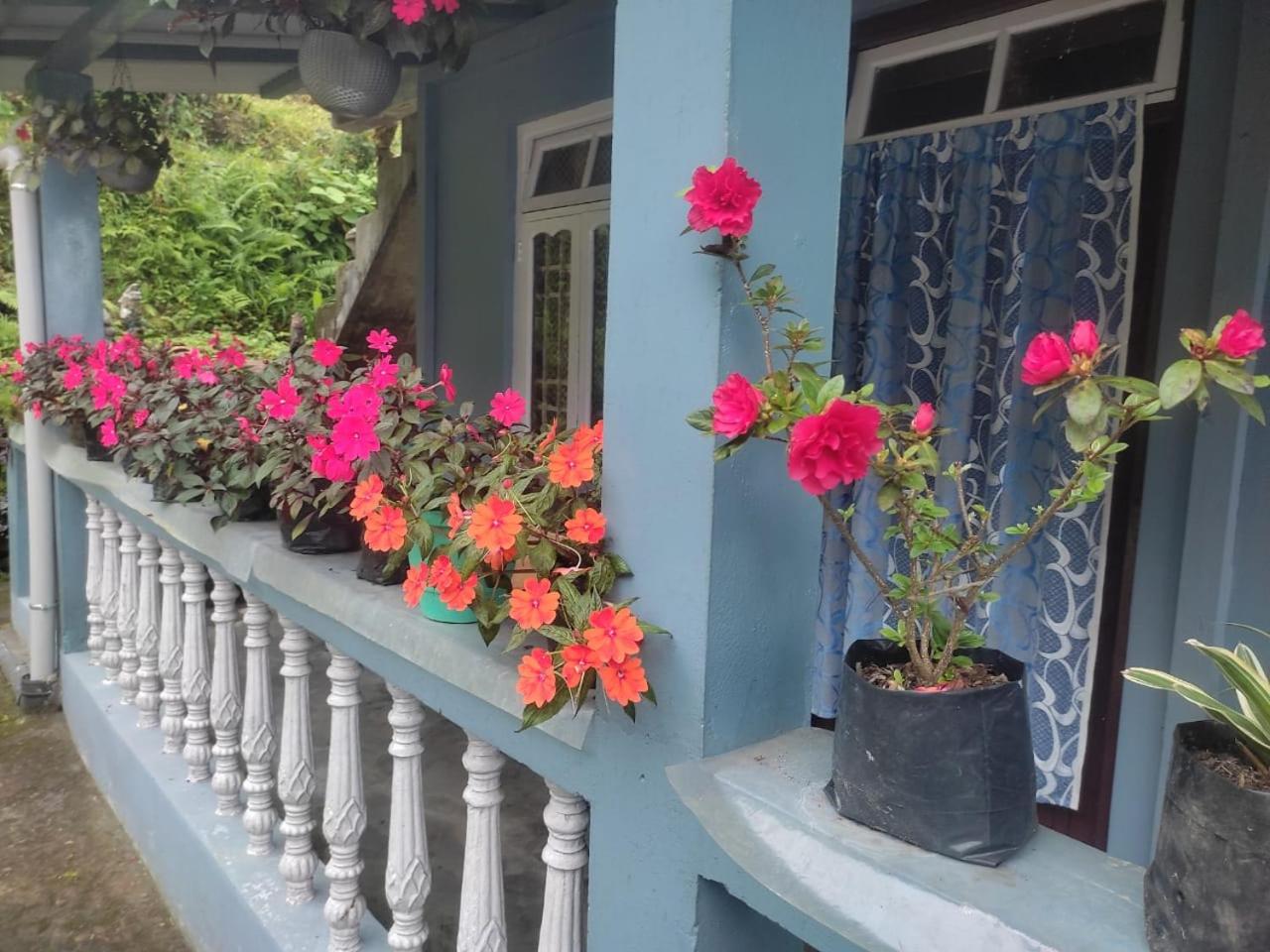 Tashi Delek Holiday Cottage , Lamahatta, Darjeeling
