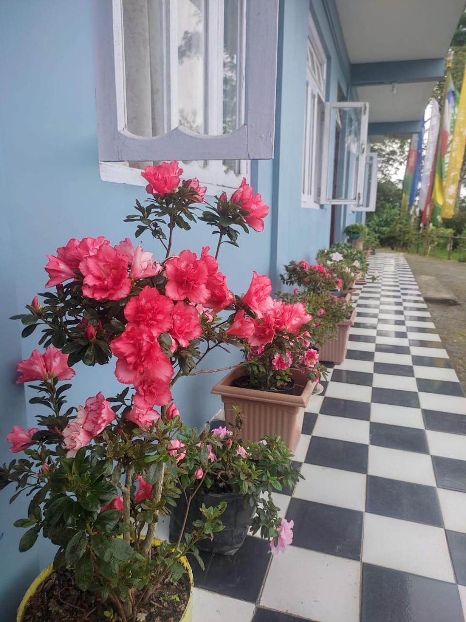 Tashi Delek Holiday Cottage , Lamahatta, Darjeeling