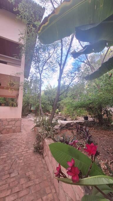 Kitnet - Casa Rosa Lençóis