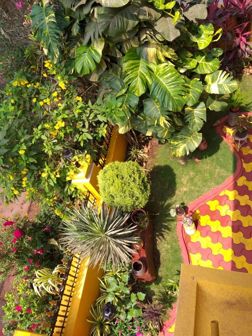 Minria Guest House view 5