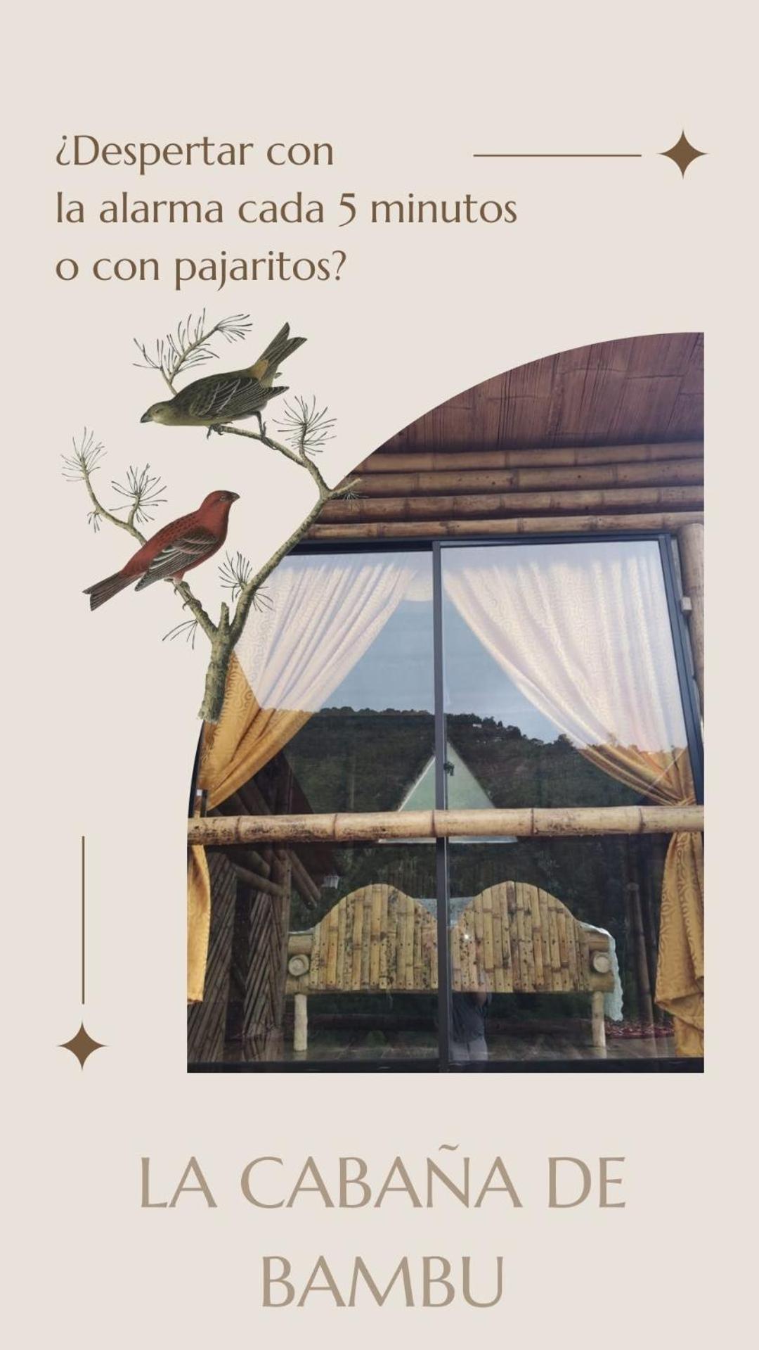 La Cabaña de Bambú