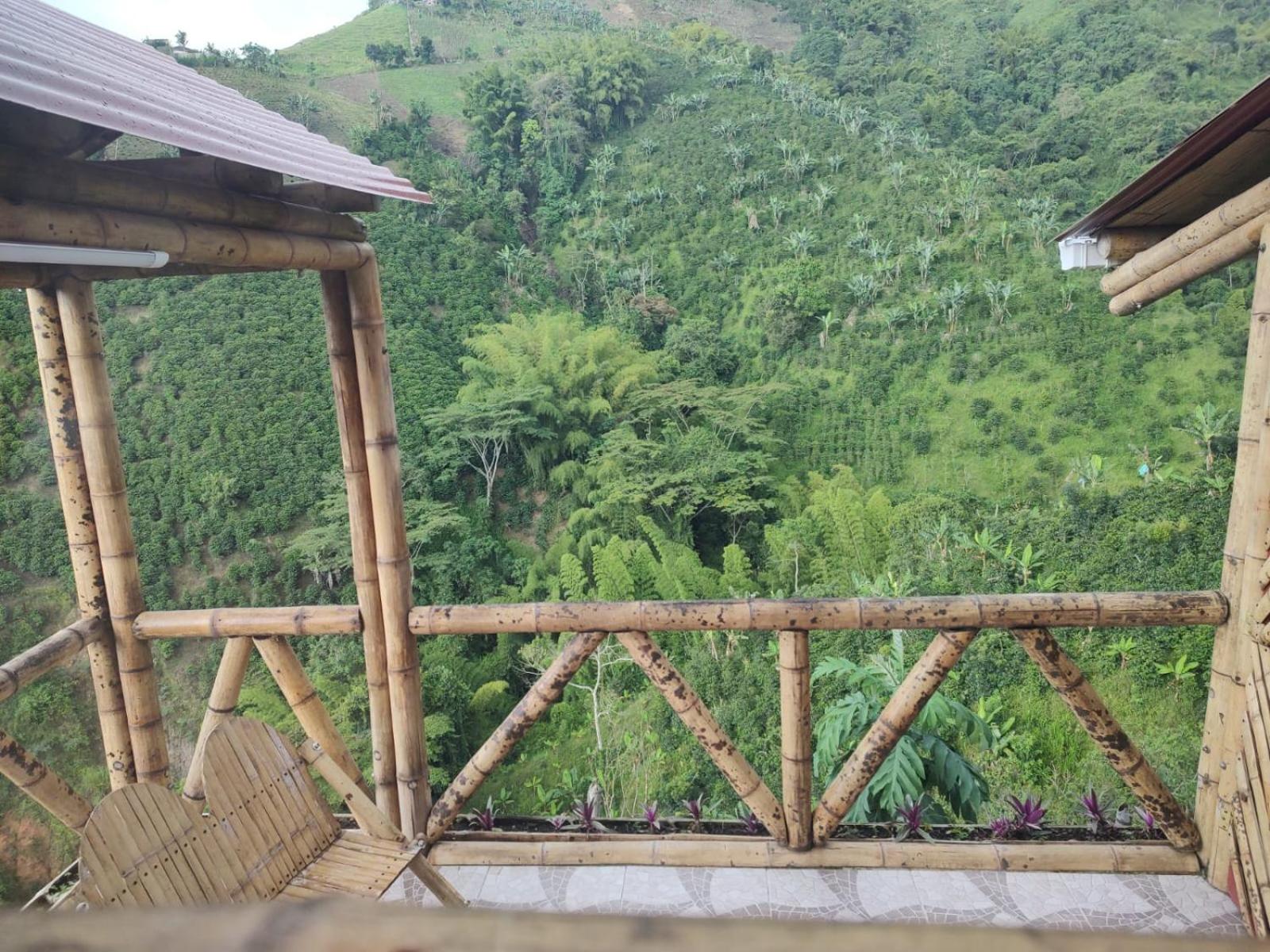 La Cabaña de Bambú