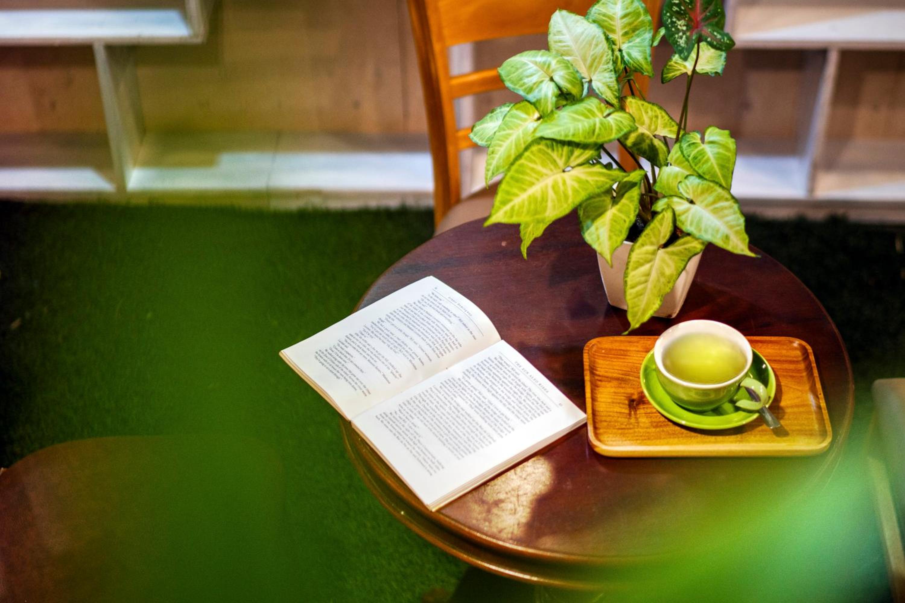 Loc Phat Hoi An Homestay