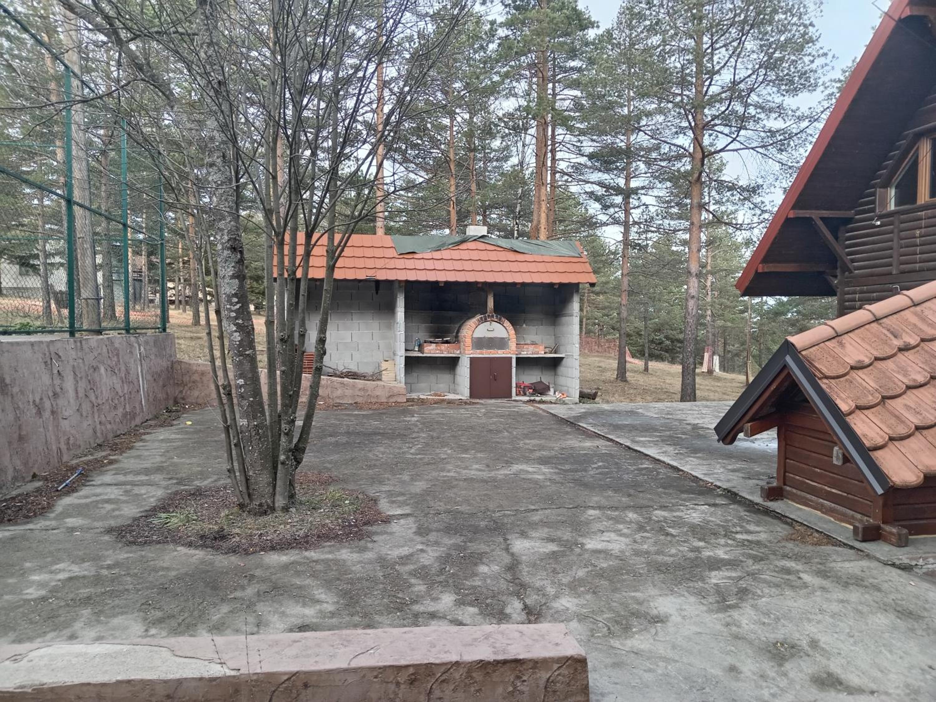 Photo 6