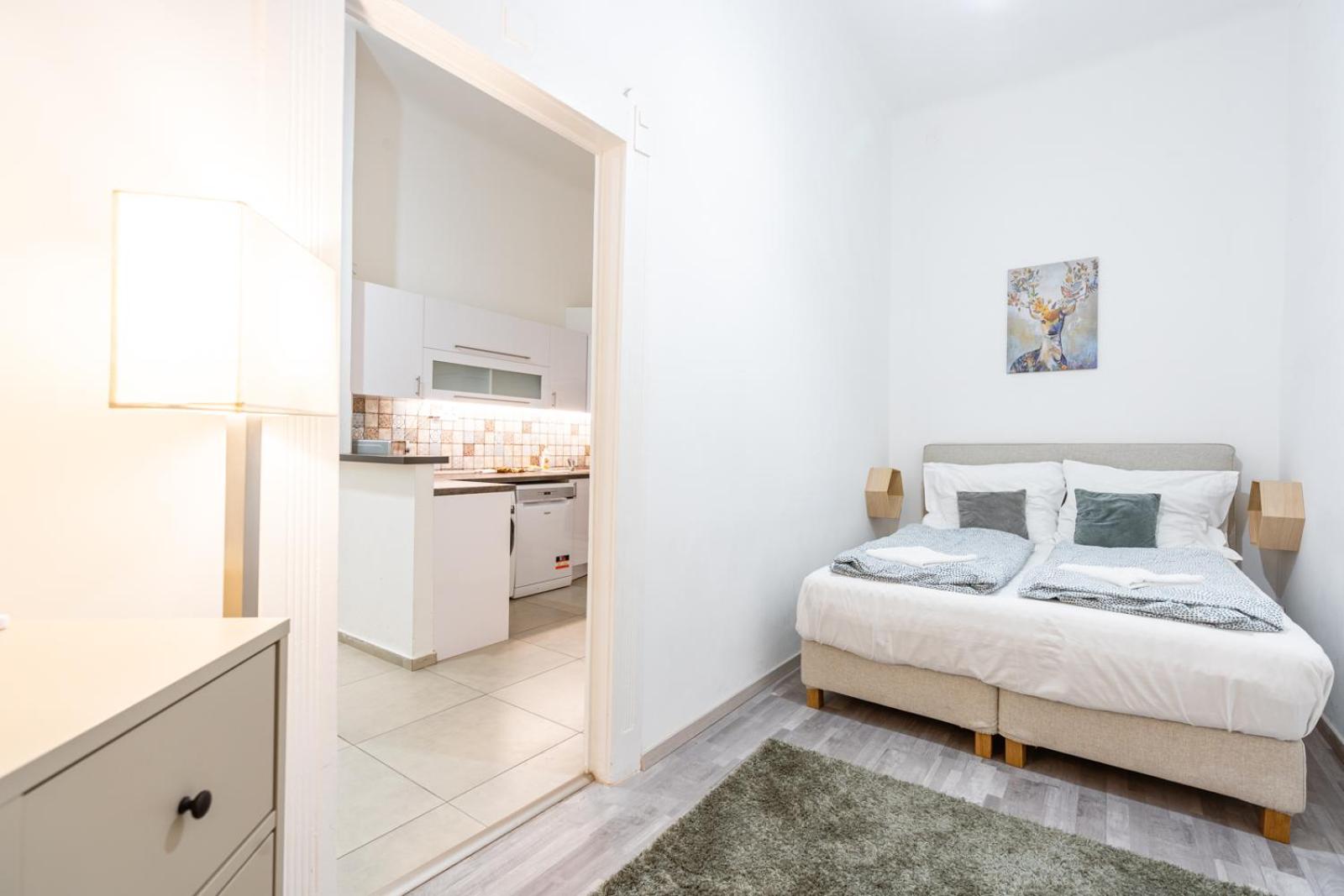 Spacious Premium Two-Room Apartment by Buda Castle
