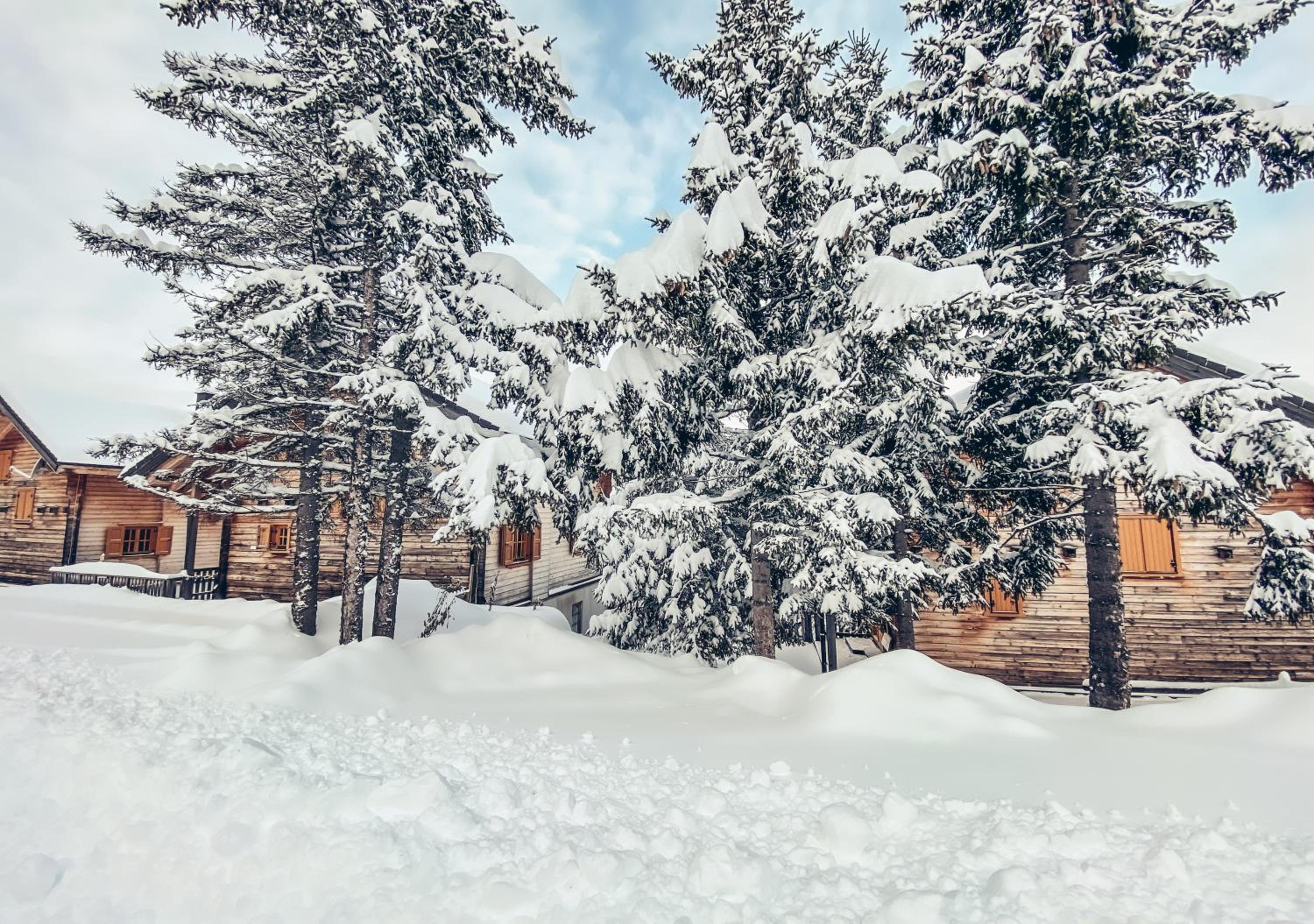 1A Chalet Koralpe Wandern, Grillen mit Sauna und Wellness
