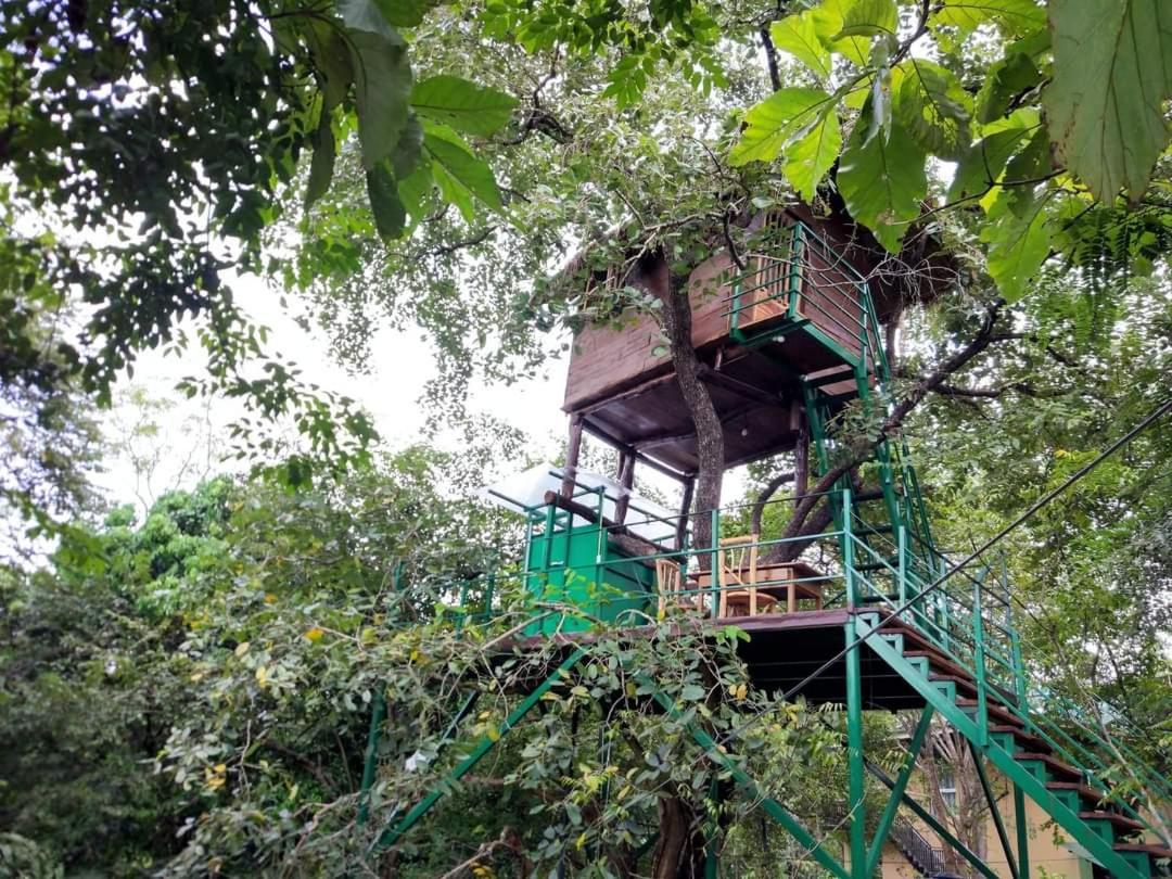 Wildescape Polonnaruwa