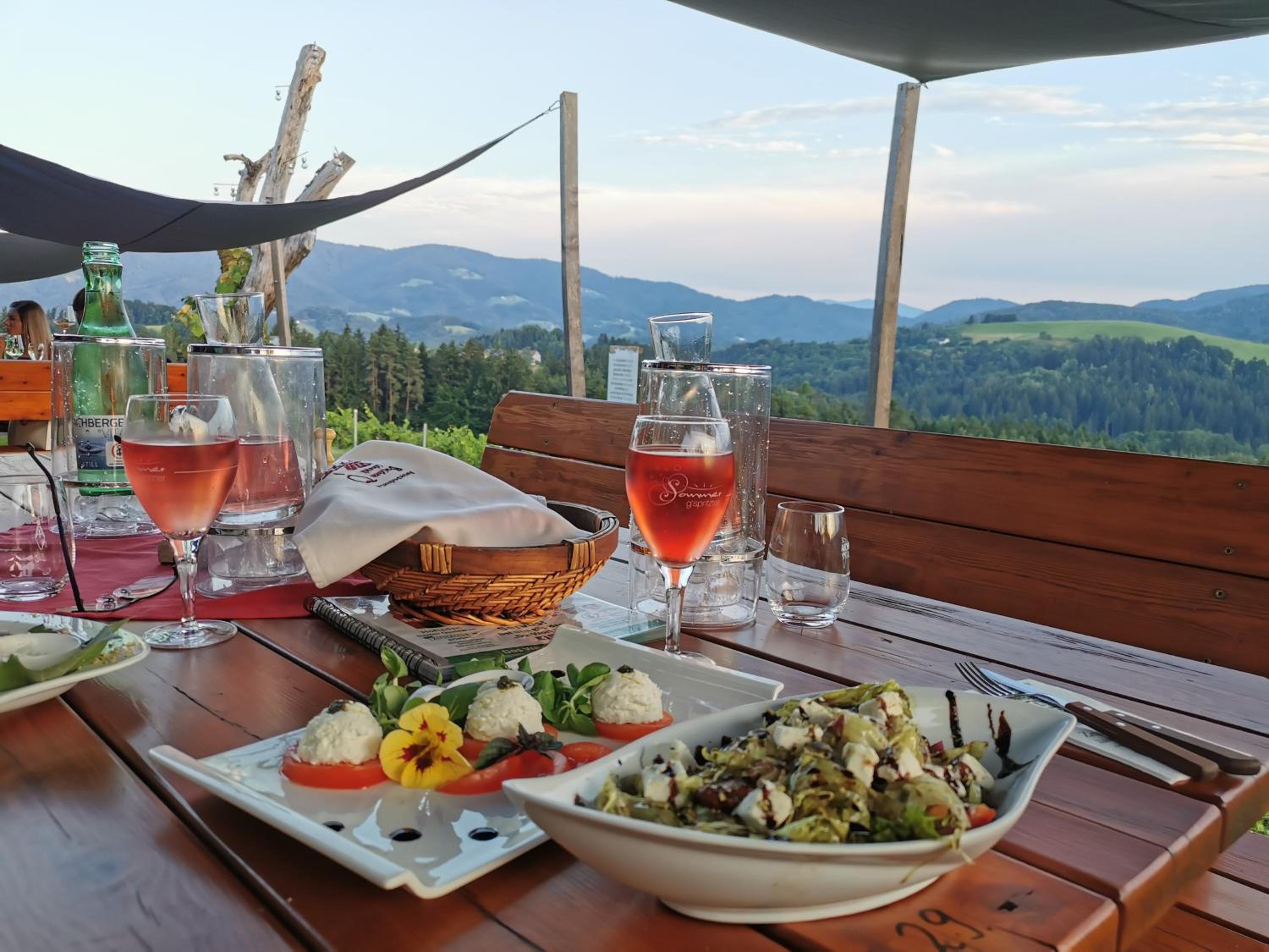 Stilvolles Ferienhaus Südsteiermark ruhige Lage top Aussicht & E-Ladestation