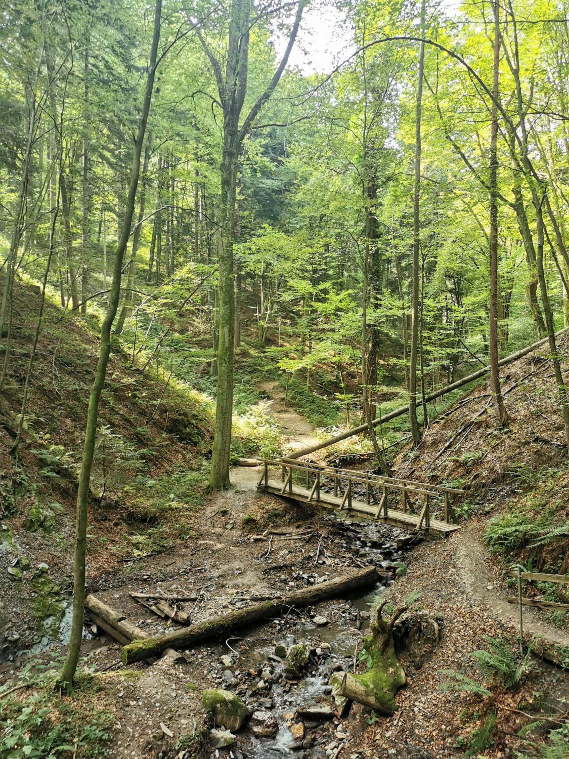 Stilvolles Ferienhaus Südsteiermark ruhige Lage top Aussicht & E-Ladestation