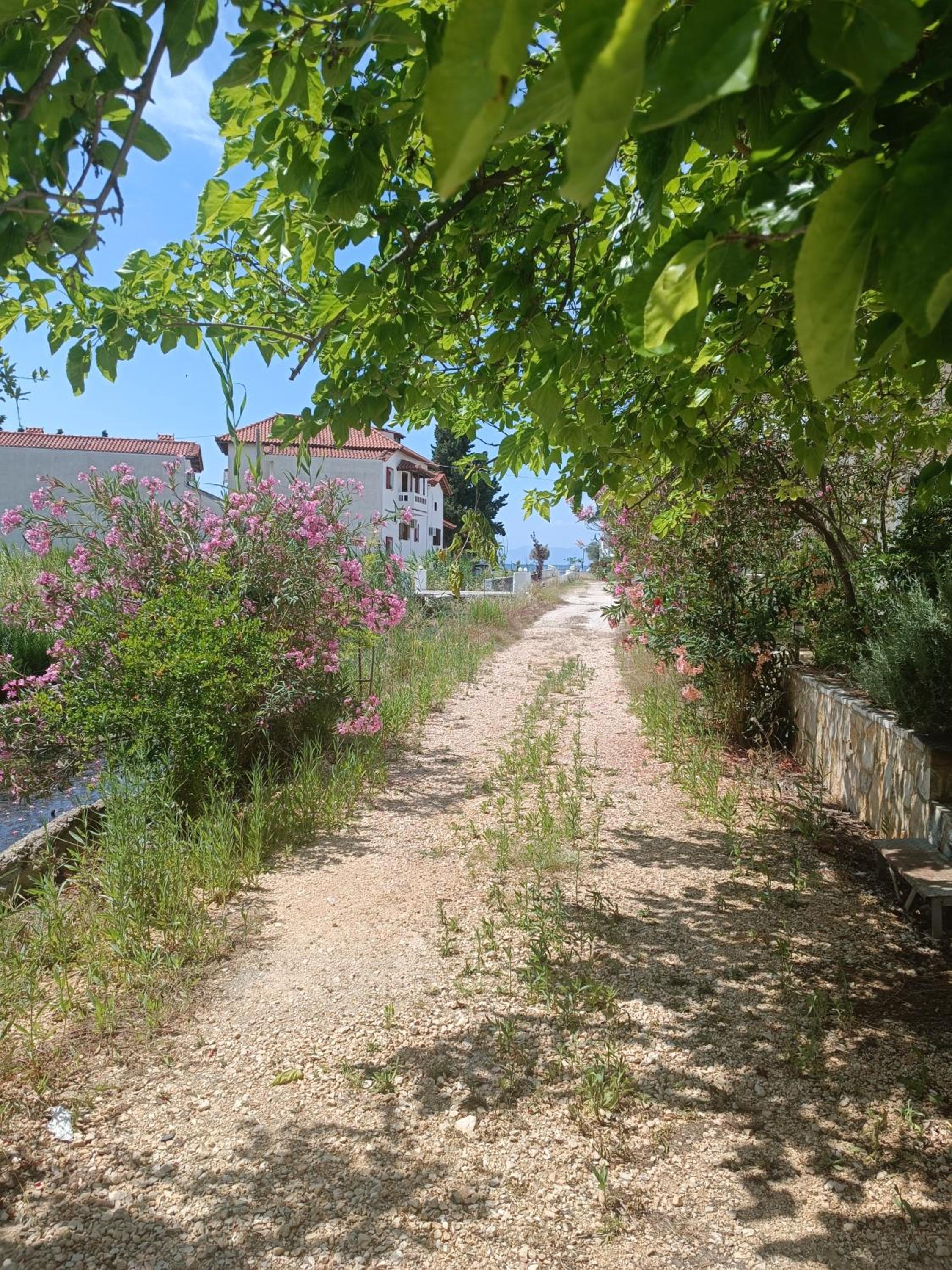 Beach house in Kandia view 4