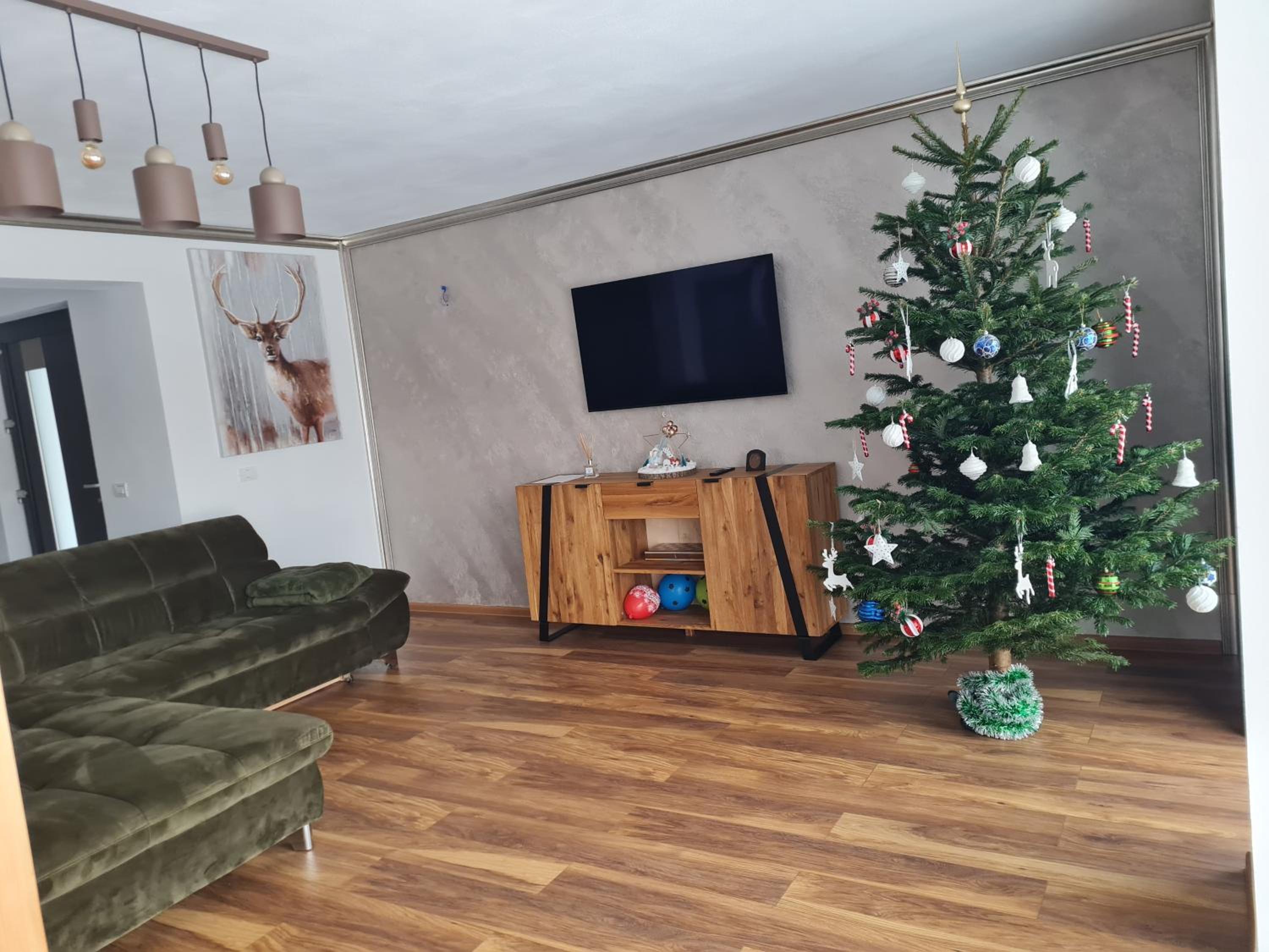 Vila Lac view 2