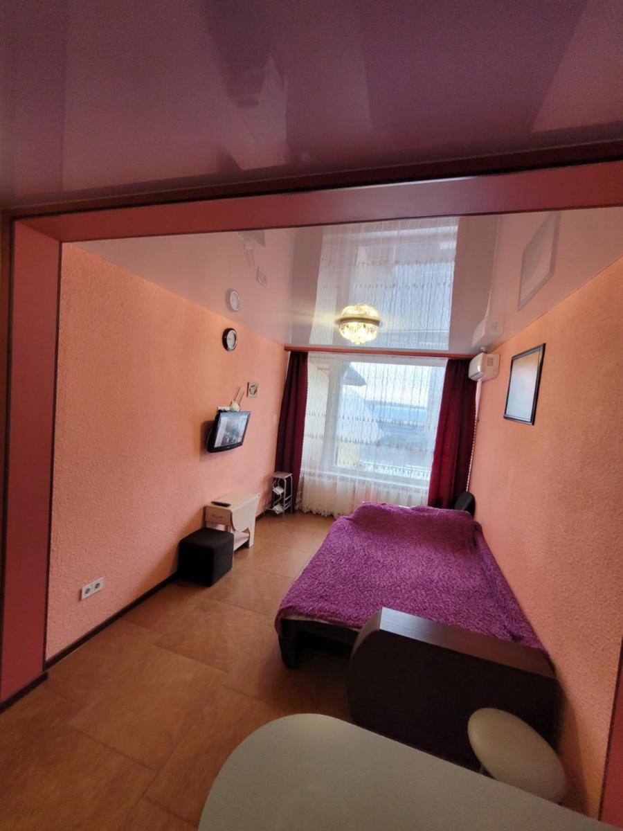 Studio Apartment near Akademika Pavlova Metro view 3