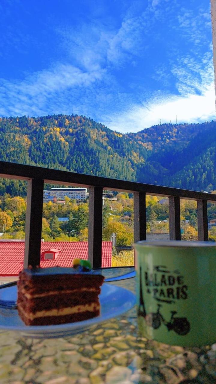 New apartments in borjomi view 3
