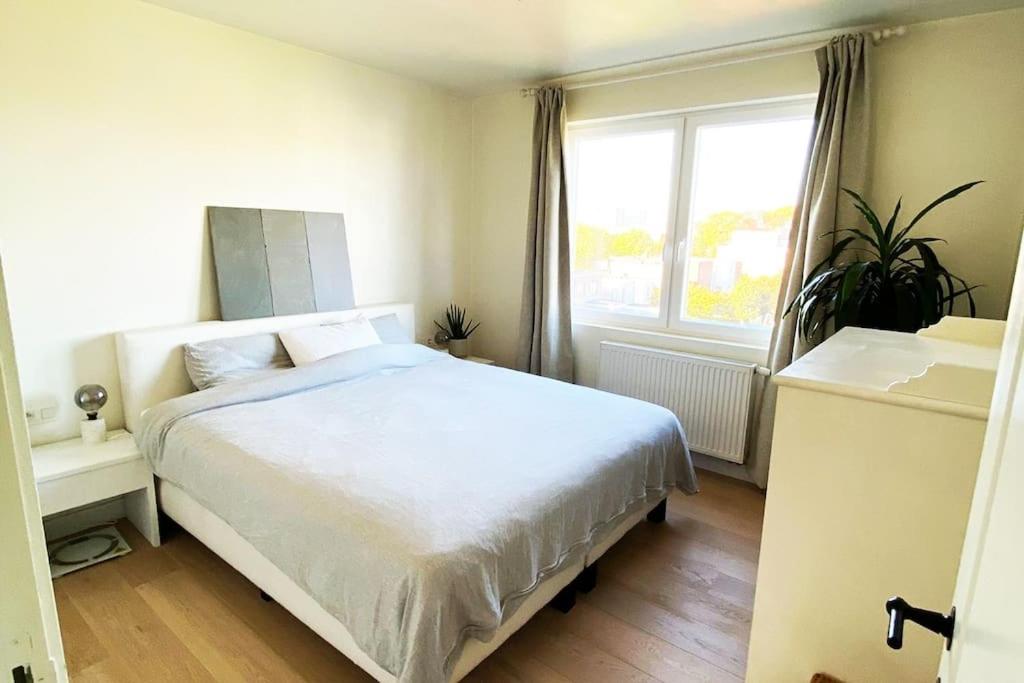 Classy flat with awesome view and great location!