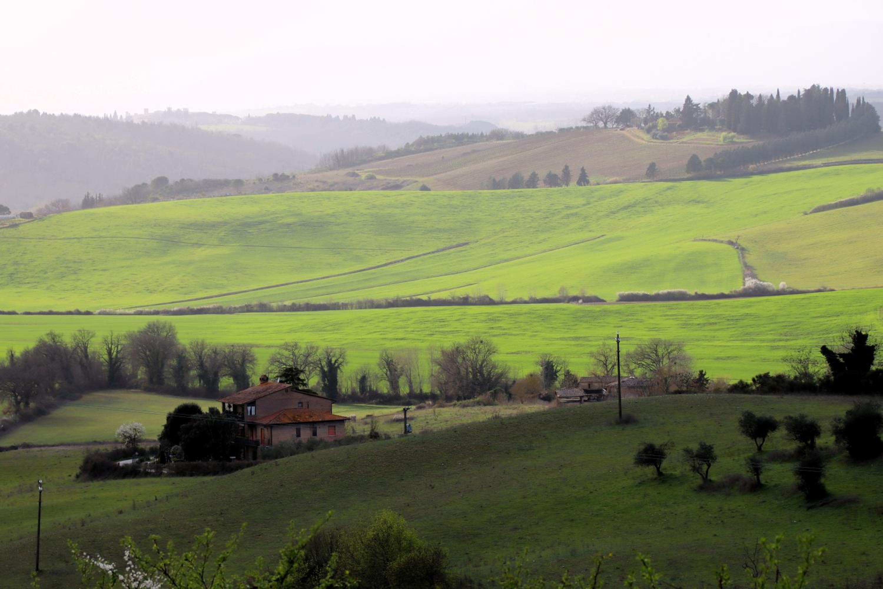 Agriturismo Osea