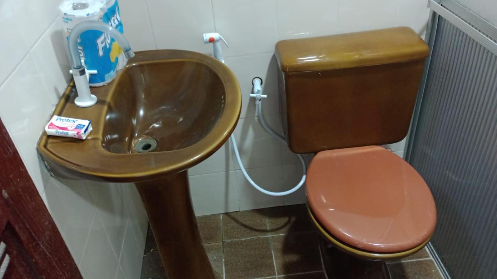 UM POUCO DE NATUREZA NO LAR