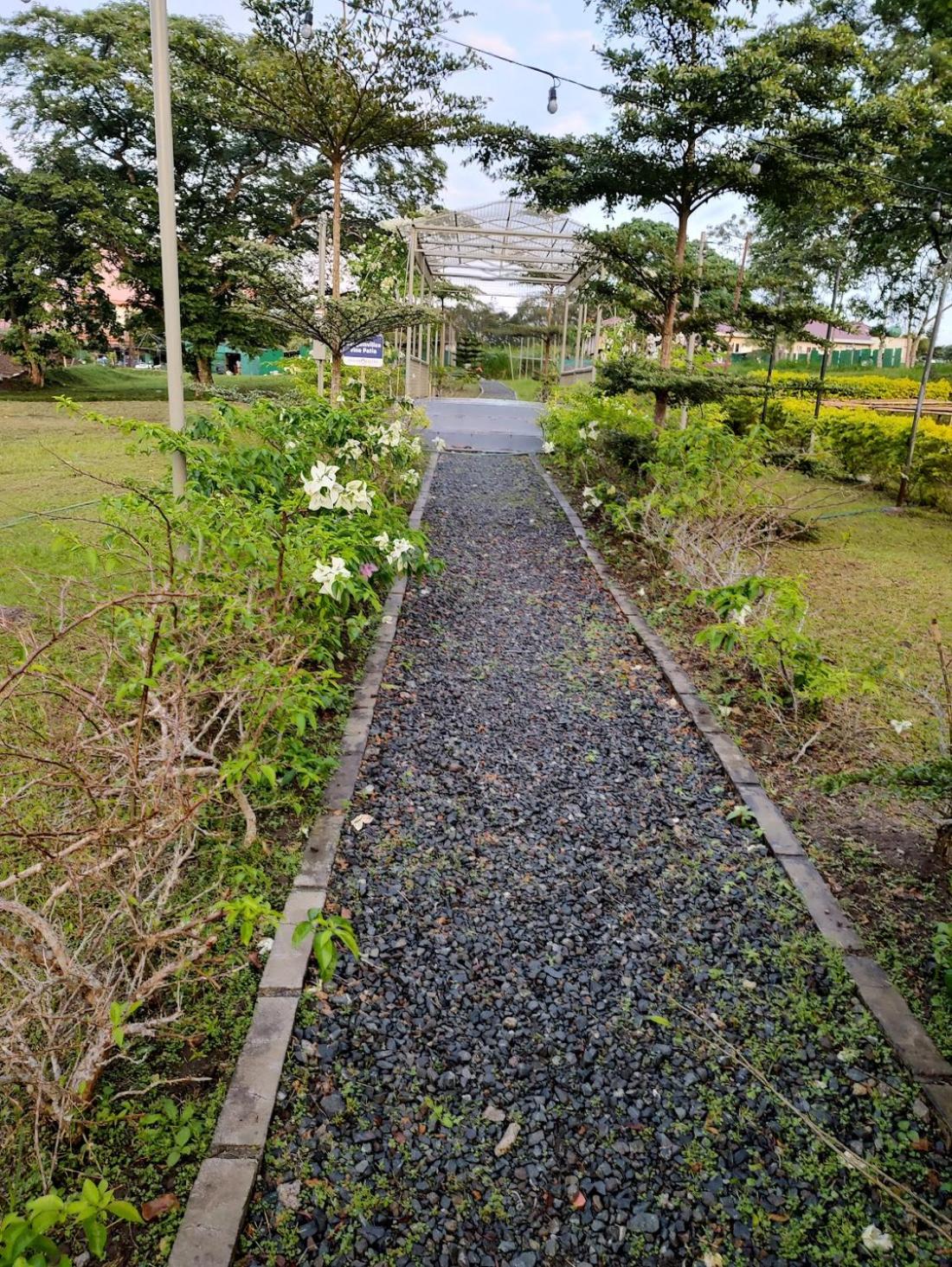 Photo 16