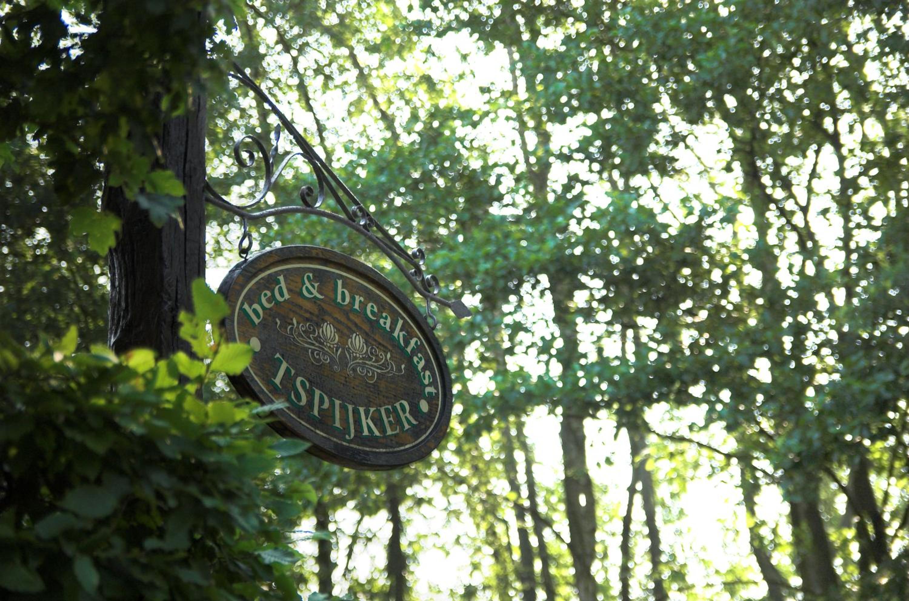 B&B Tspijker