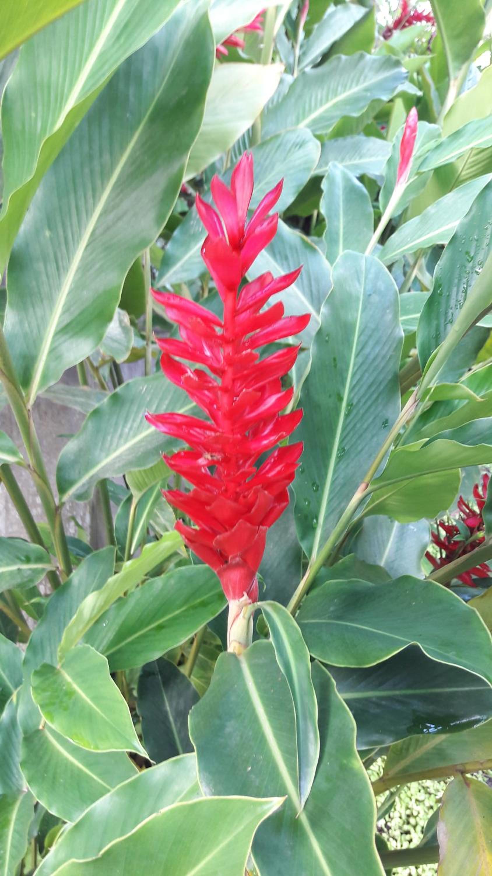 QUINTAL DA MATA