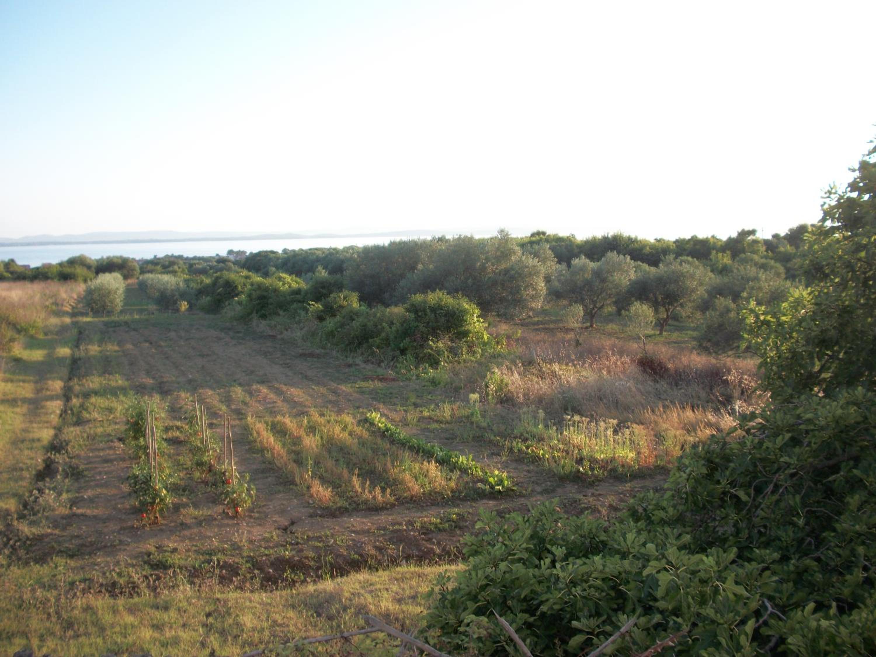 Photo 49
